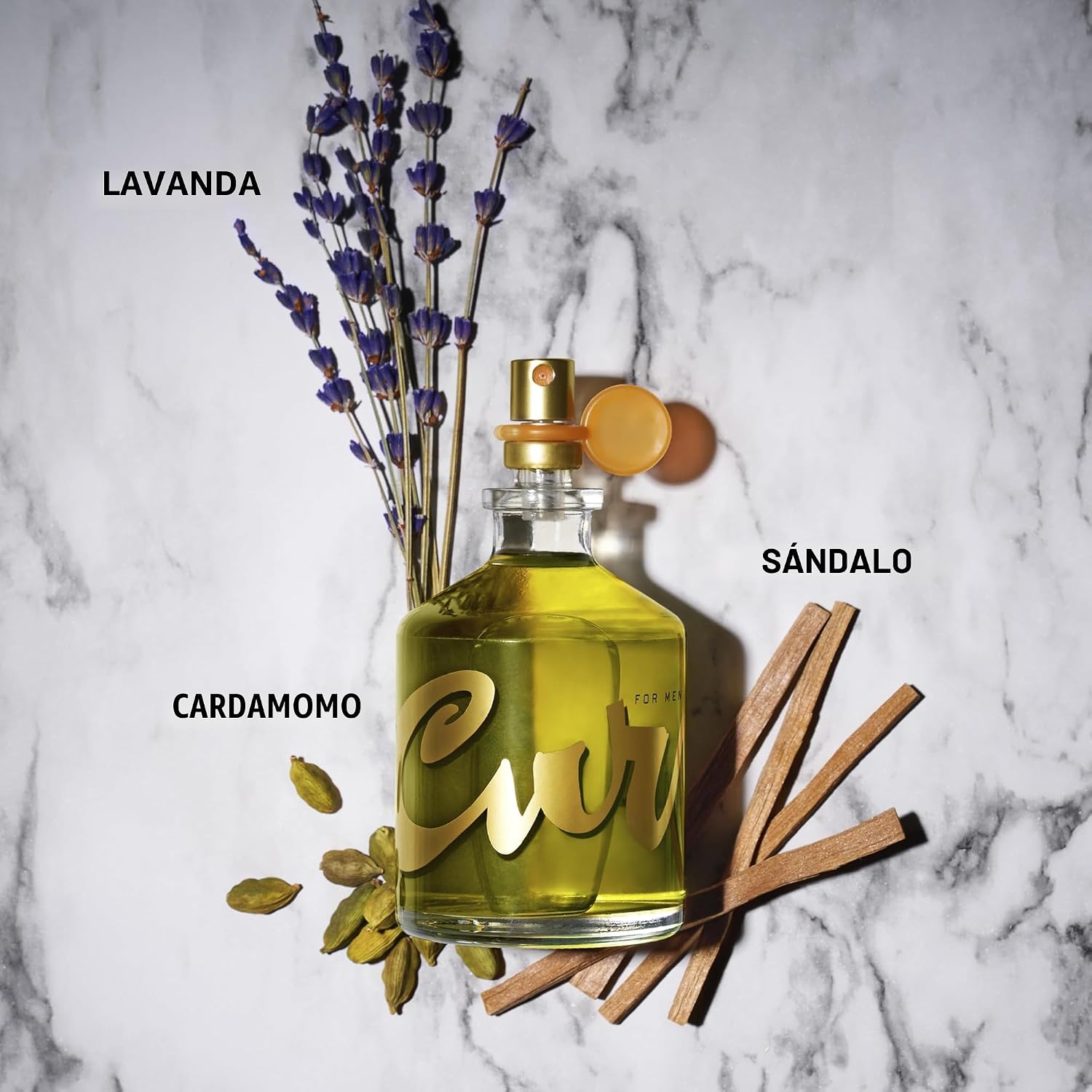 Curve - Perfume en aerosol para hombre, fragancia con aroma especia...
