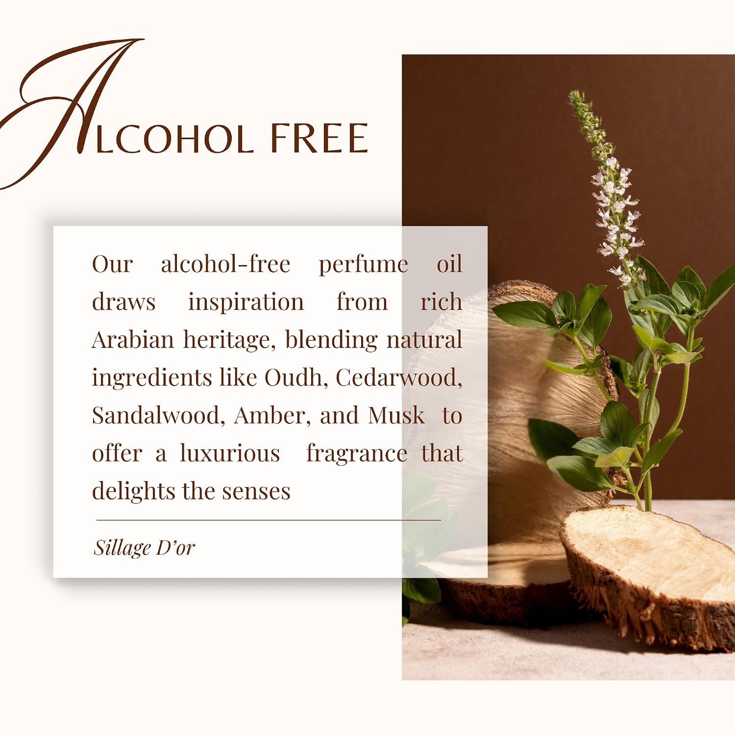 ARABIAN PERFUMES &amp; OILS Aceite de perfume Sillage D'or \u20...