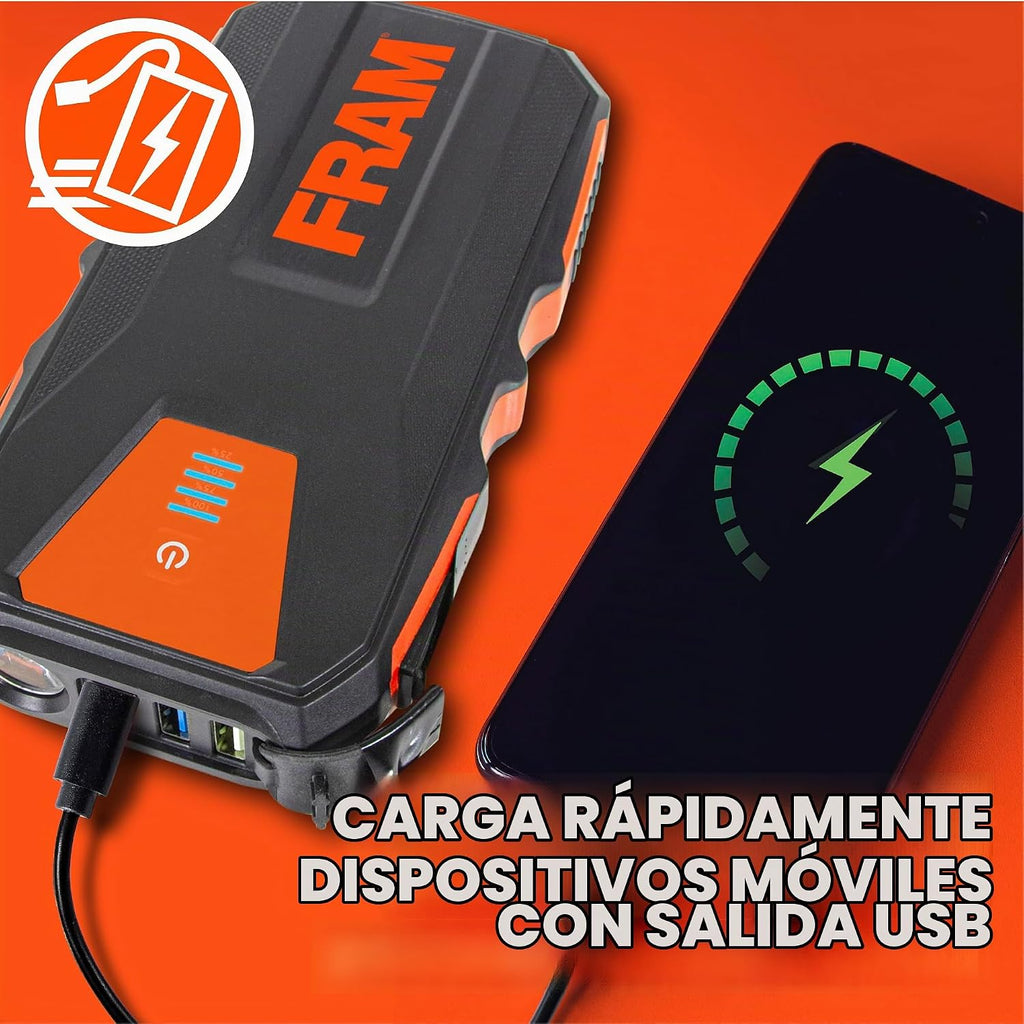FRAM FEK40008 - Arrancador de batería de coche 12000mAh (44.4Wh) ha...