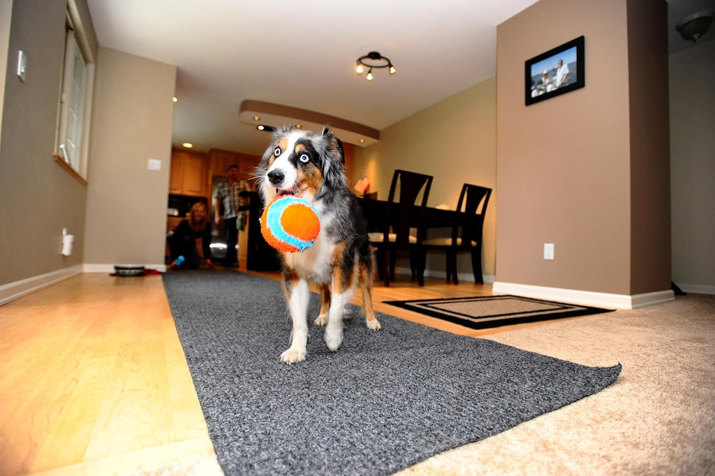 Pelota para interior, Variados