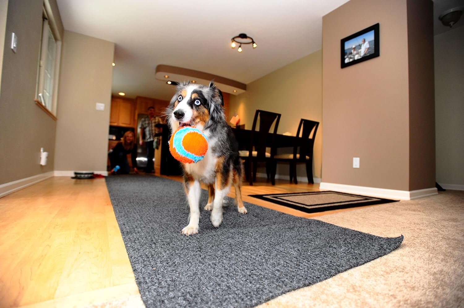 Pelota para interior, Variados