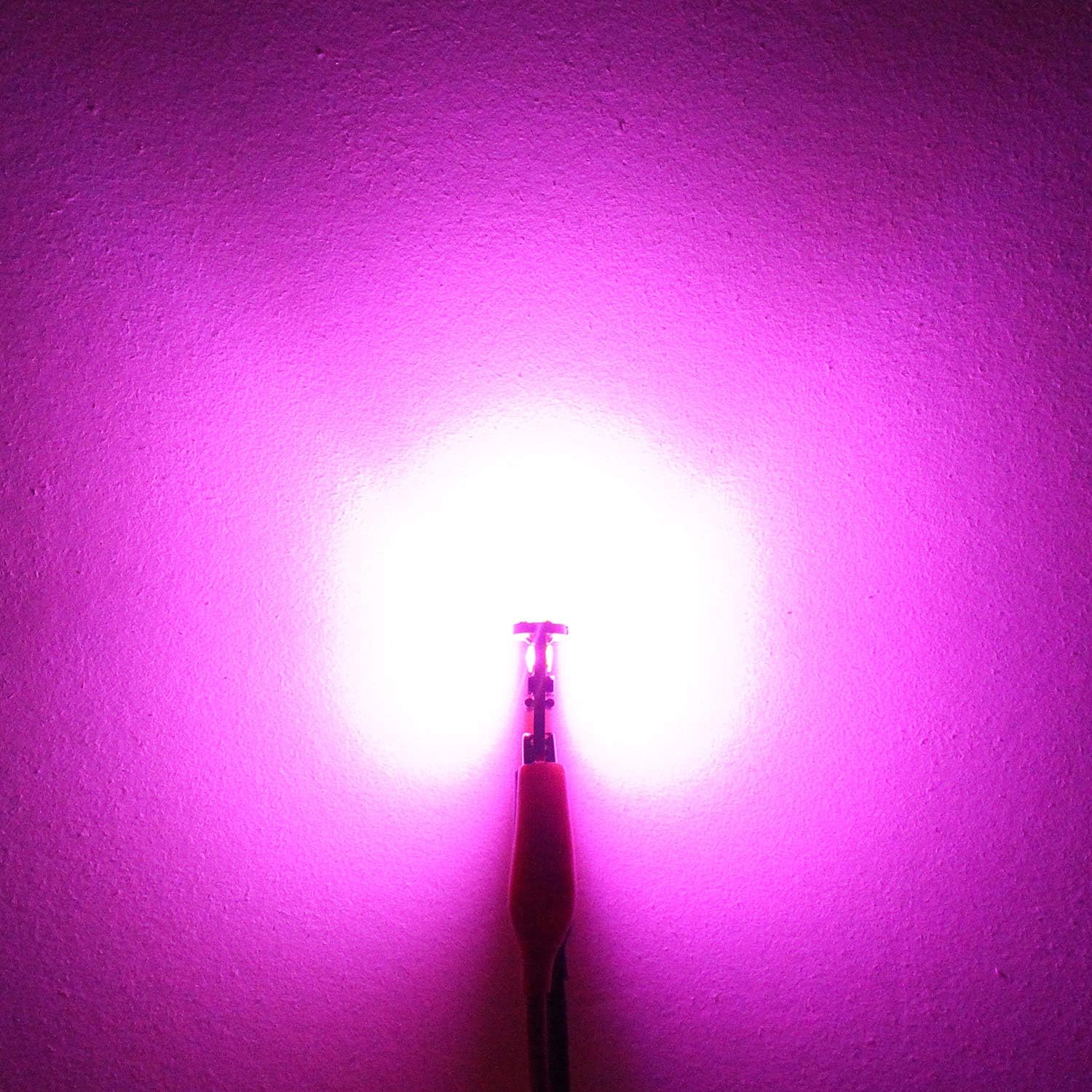 PHINLION 194 Bombilla LED Súper Brillante Púrpura Rosa 4014 Chipset...