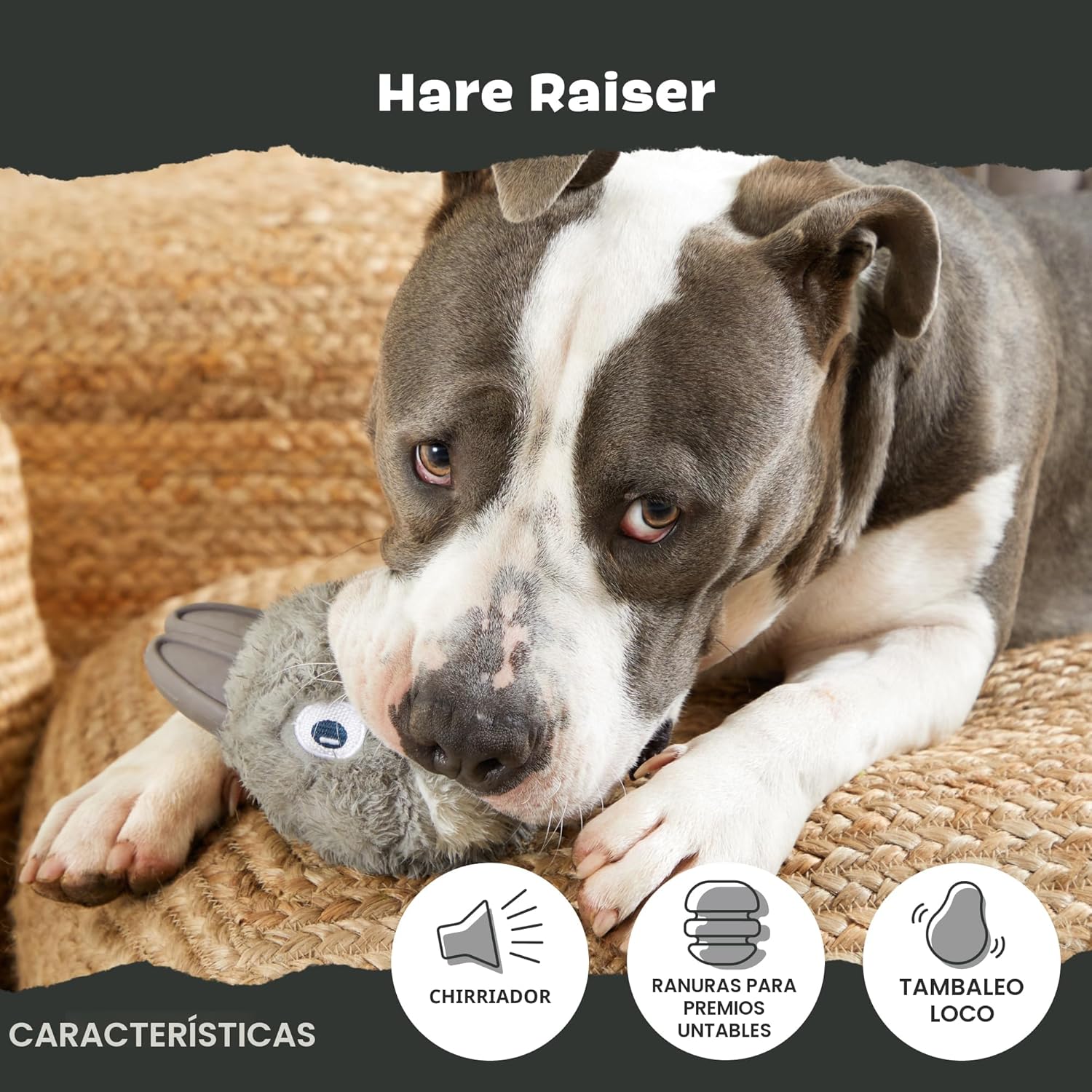 Juguetes para perros masticadores agresivos Barkbox Super Chewer, j...
