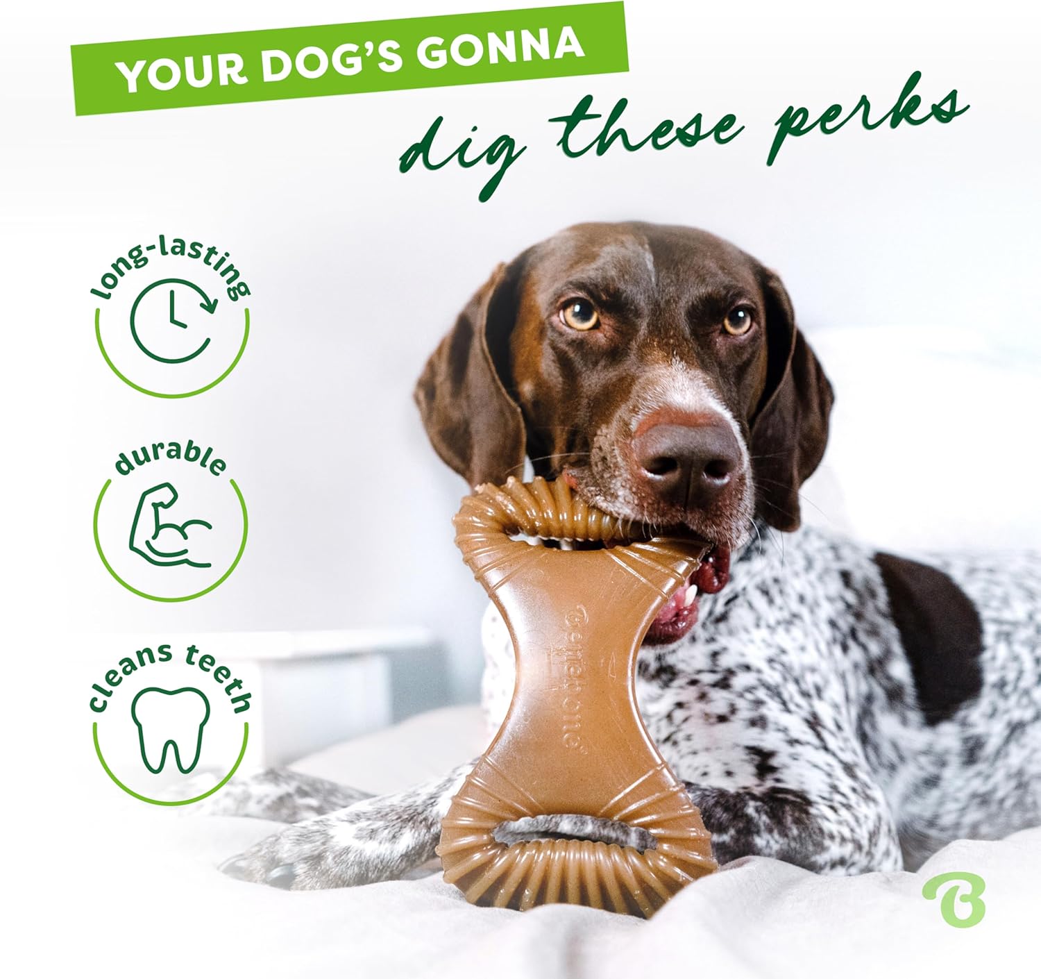 Benebone Juguete para morder dental duradero para perros masticador...