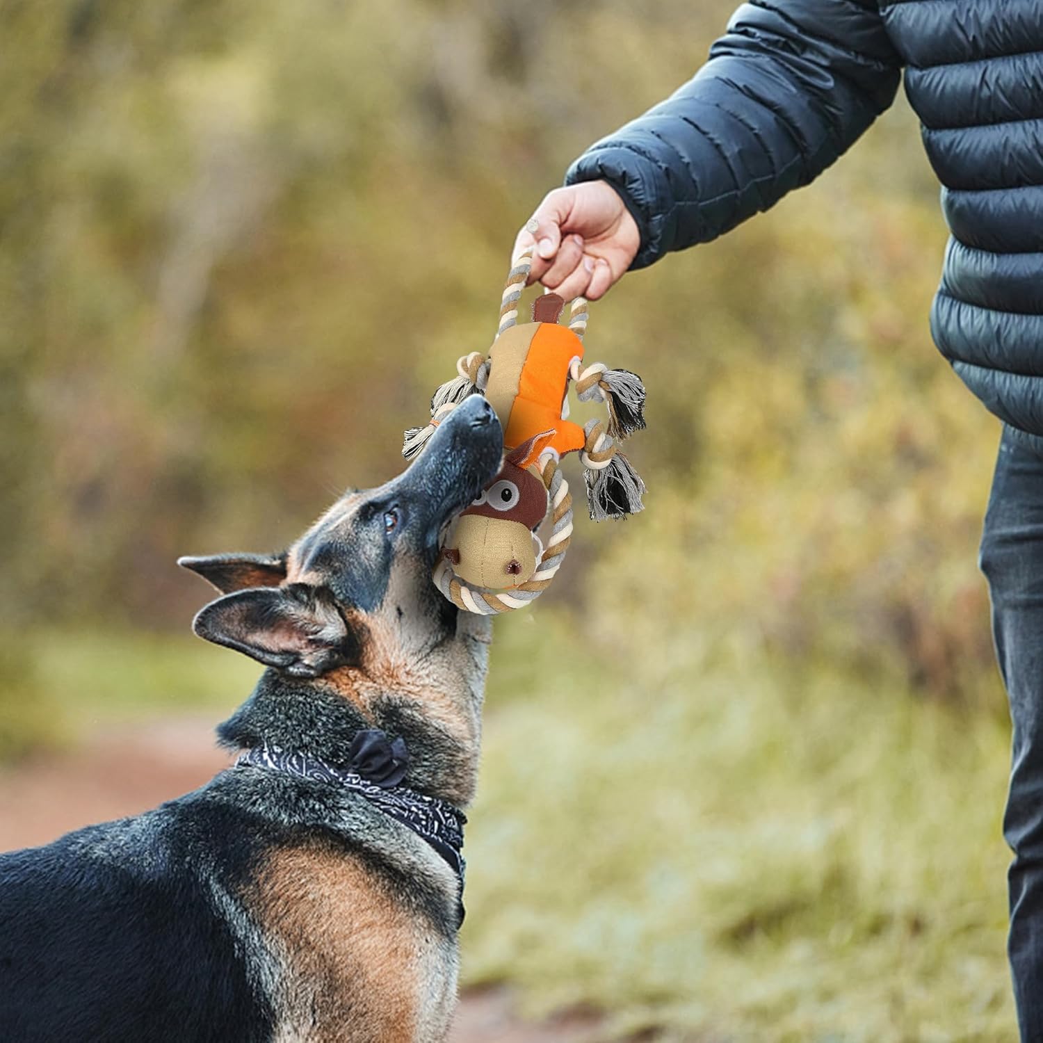 IOKHEIRA Juguetes para Perros para Masticadores Agresivos, Juguetes...