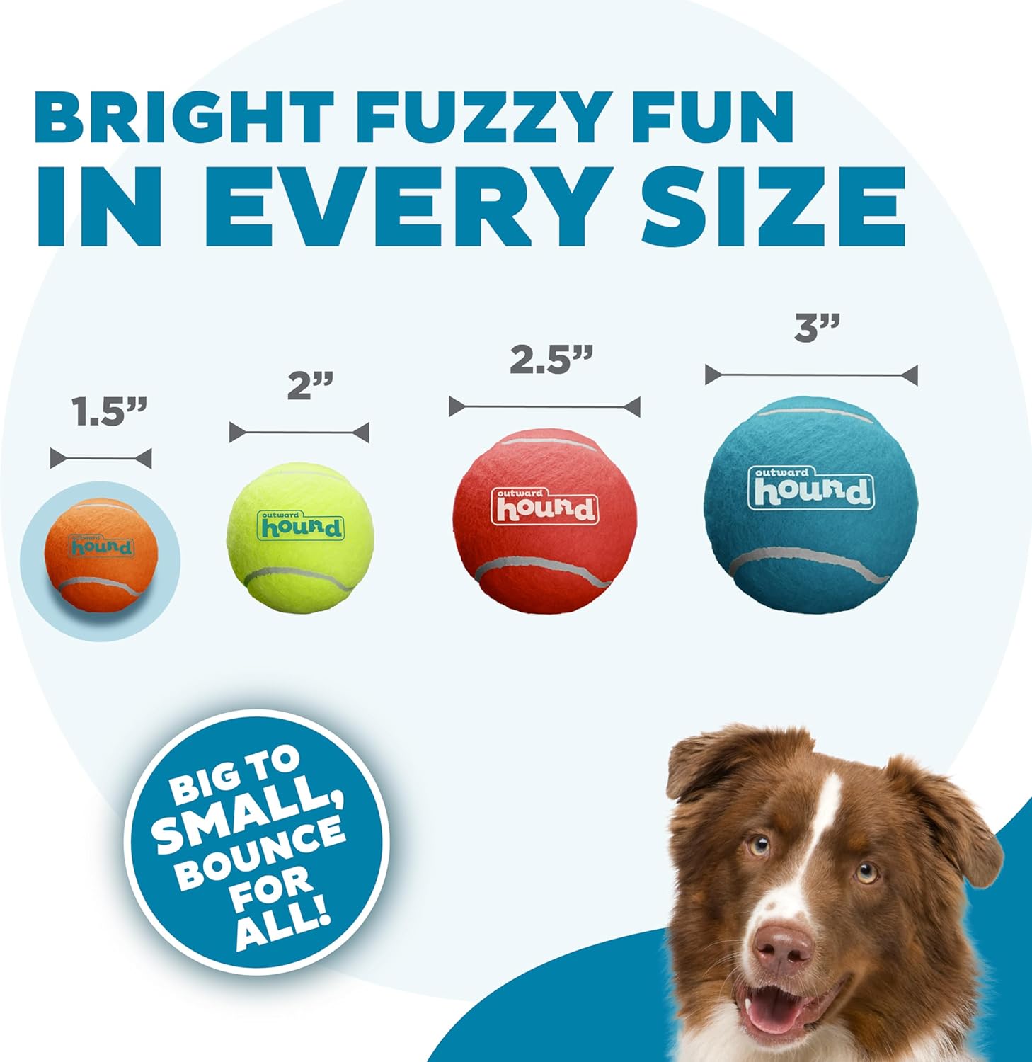 Outward Hound Squeaker Ballz - Juego de 4 pelotas de tenis para per...