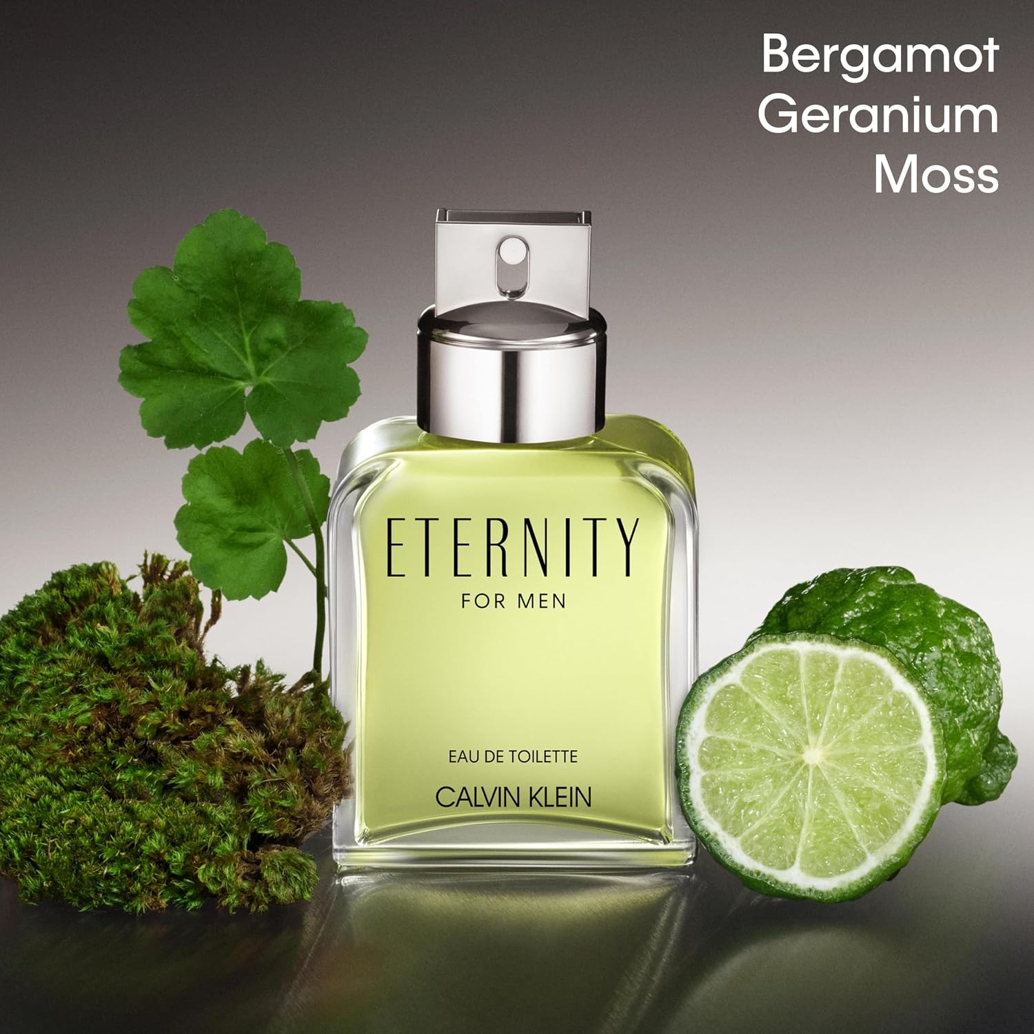 Calvin Klein Eternity Eau de Toilette \u2013 Fougère Colonia para h...