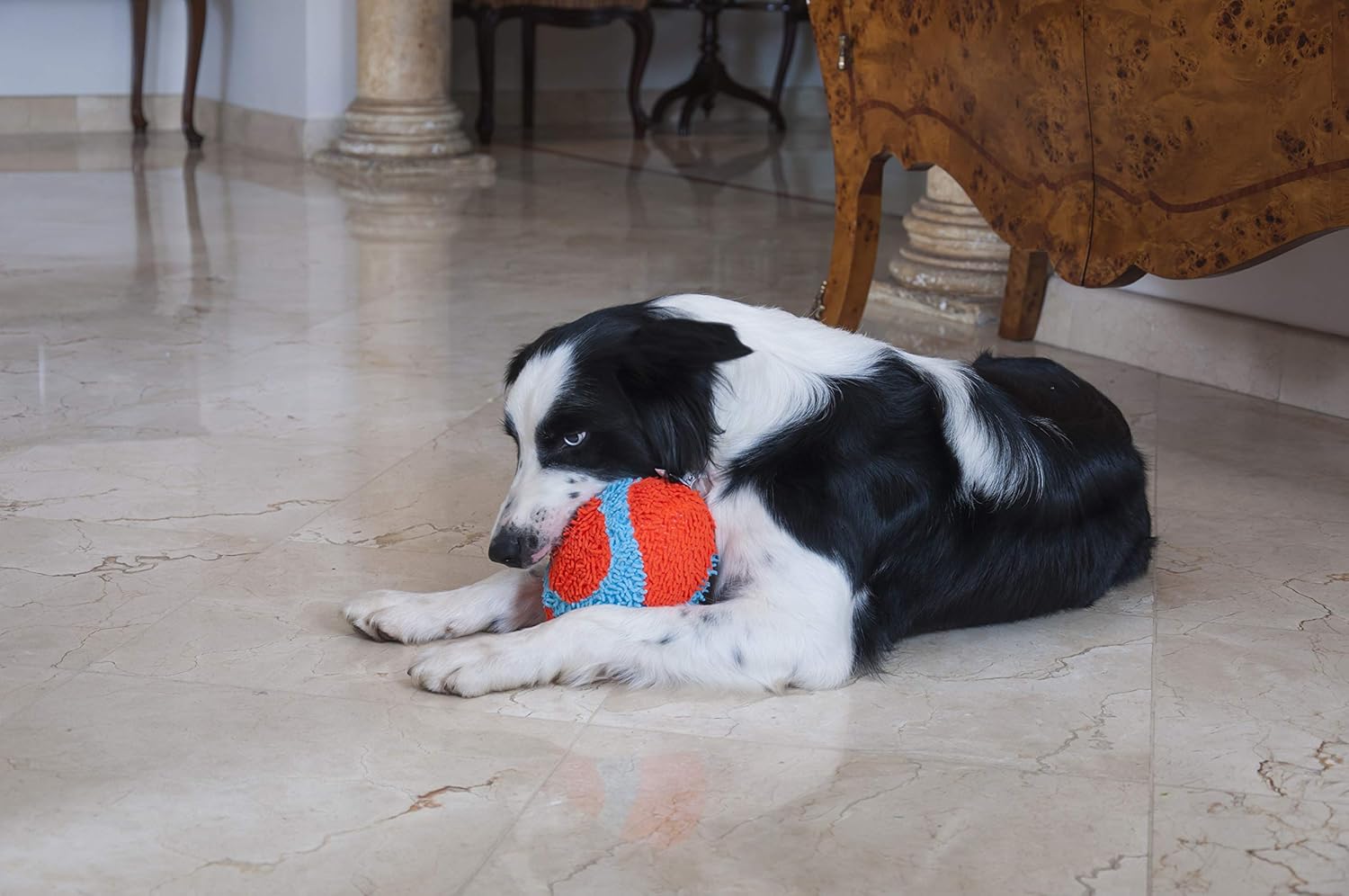 Chuckit! Juguete Fumbler de interior para perros, juguetes interact...