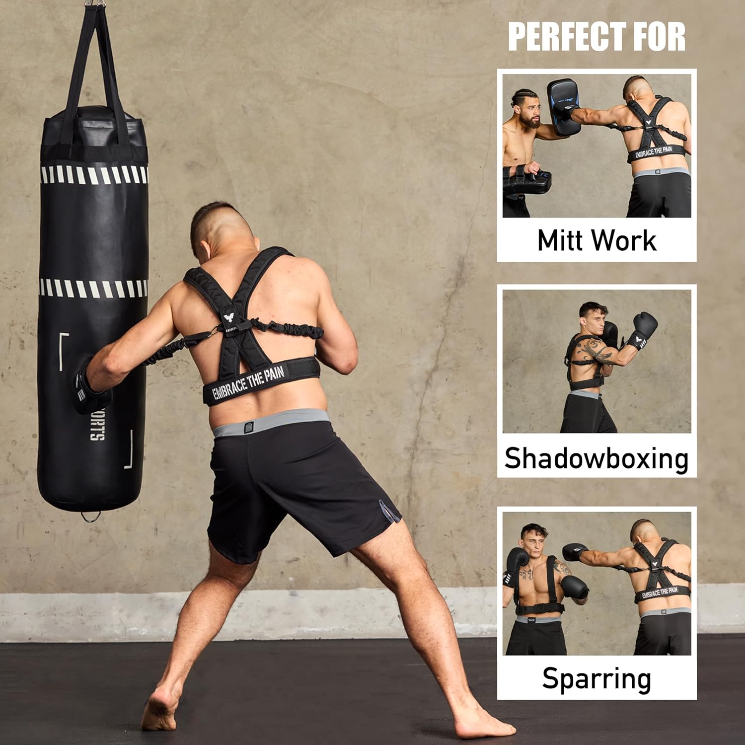 Arnés de boxeo Elite Sports para adultos con guantes de 12oz \u2013...