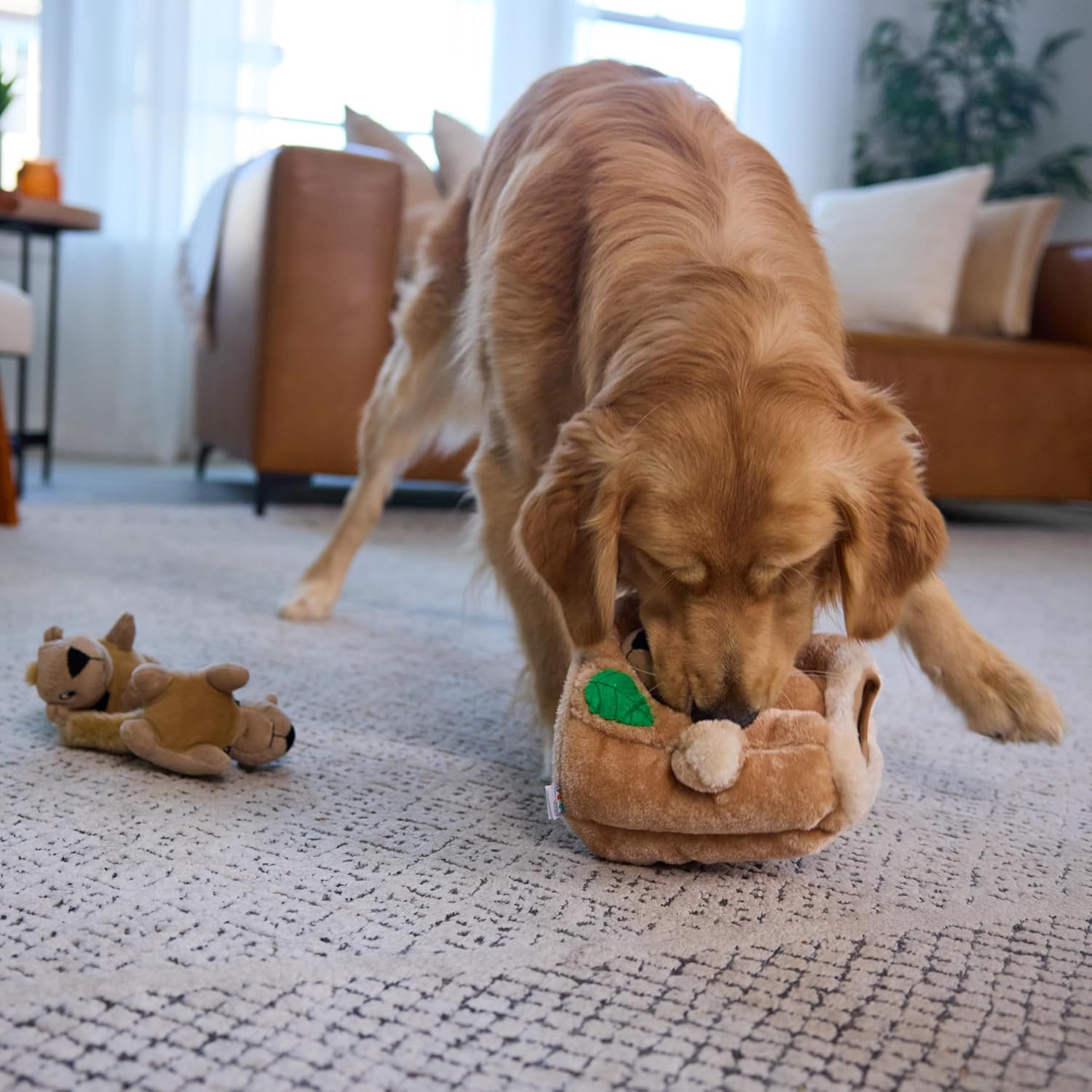 Outward Hound Hide A Squirrel Juguete Rompecabezas de Peluche para...