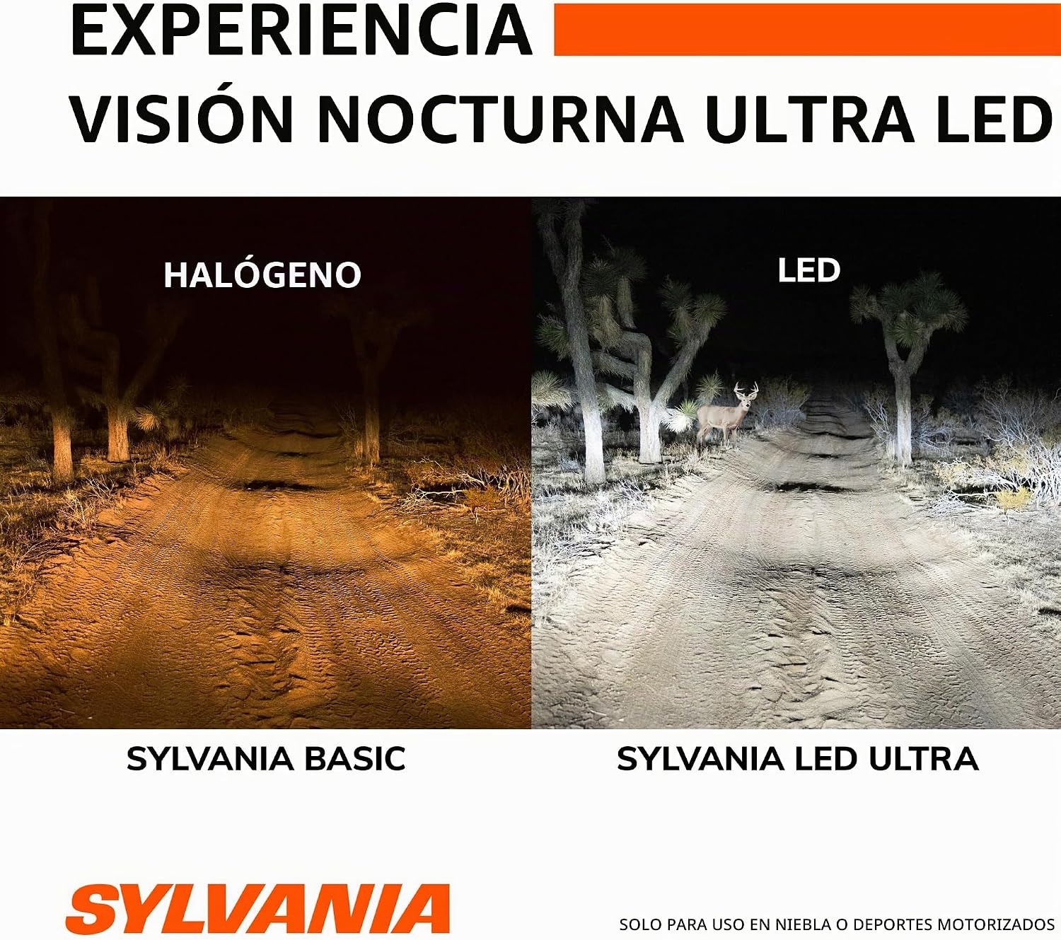 SYLVANIA H11 LED Ultra - Luces antiniebla para coches y camiones -...