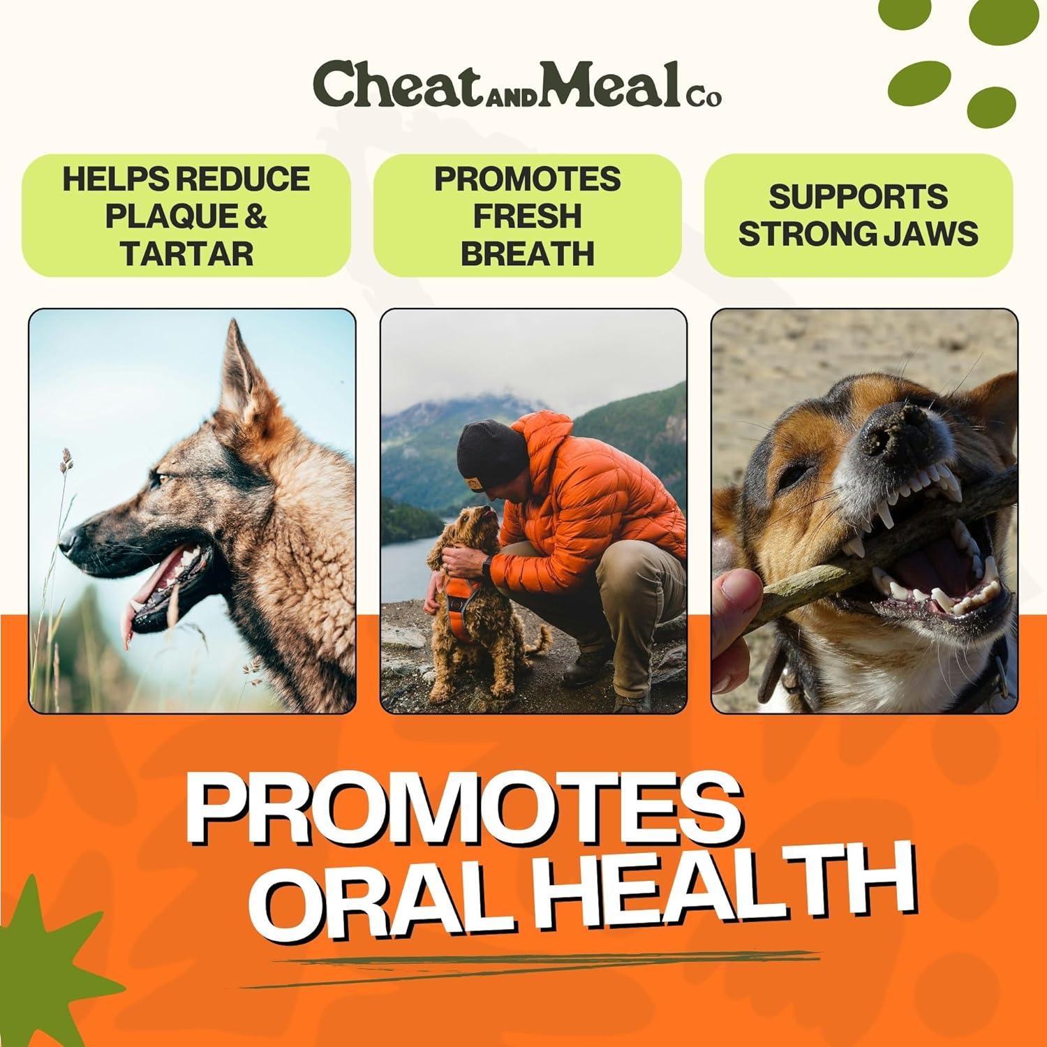 Cheat and Meal Co Bully Sticks para perros grandes, juguetes mastic...