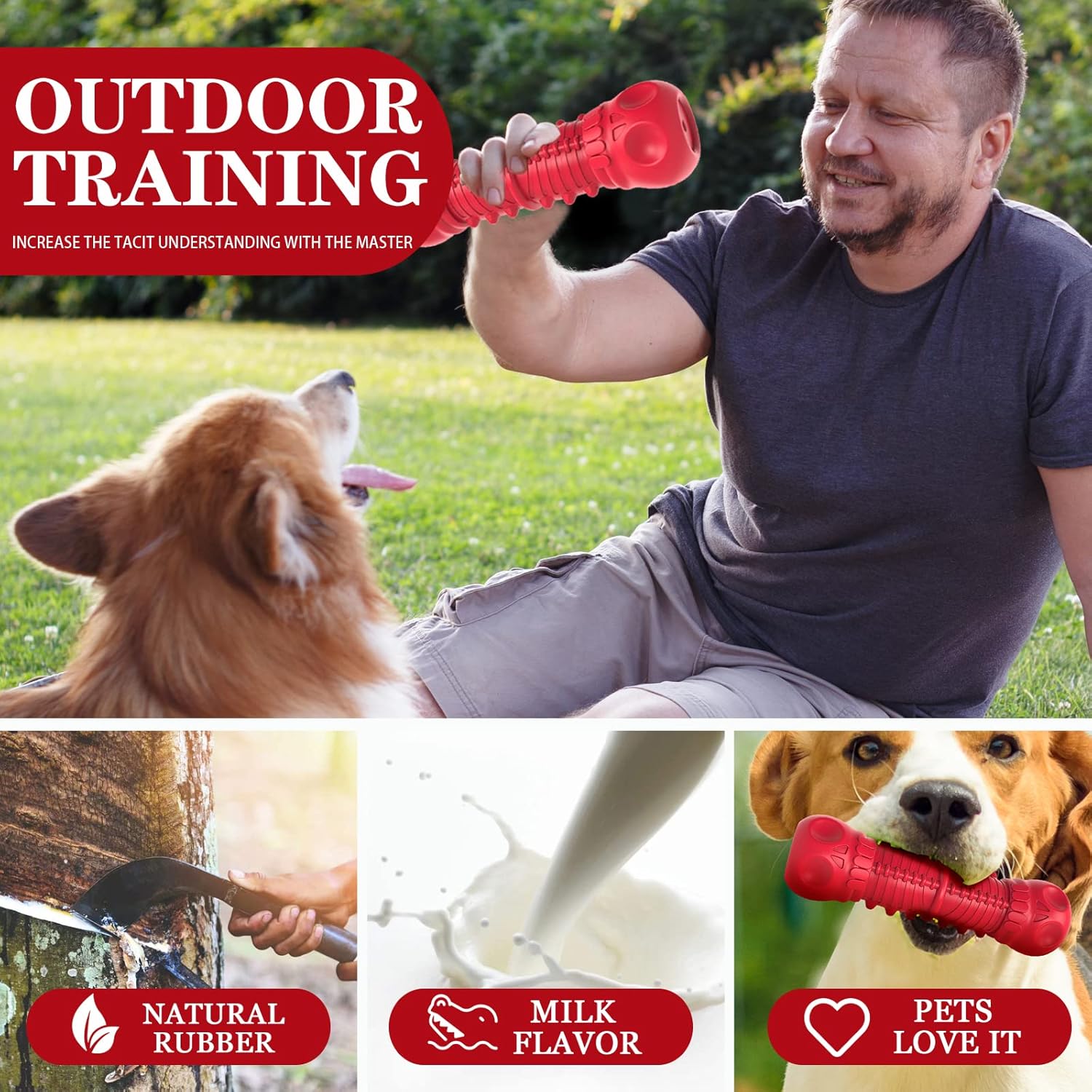ZIKATON Juguetes chirriantes para perros masticadores agresivos, ju...