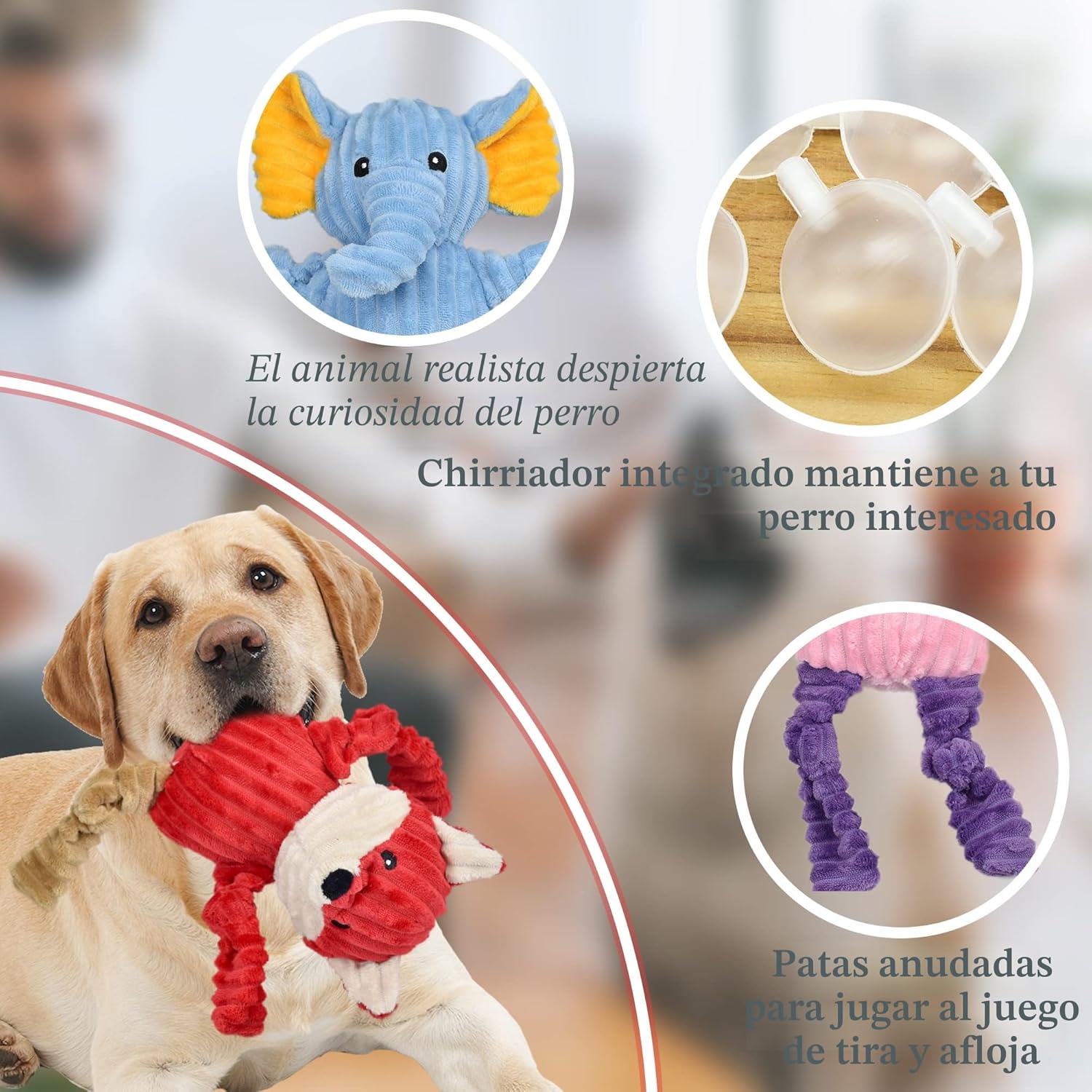 LECHONG Paquete de 5 Juguetes Resistentes para Perros Rellenos Chir...