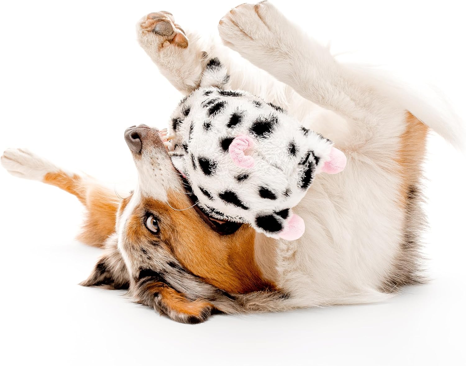 Juguetes para Perros Playology | Juguete de Peluche Cerdo Animal de...