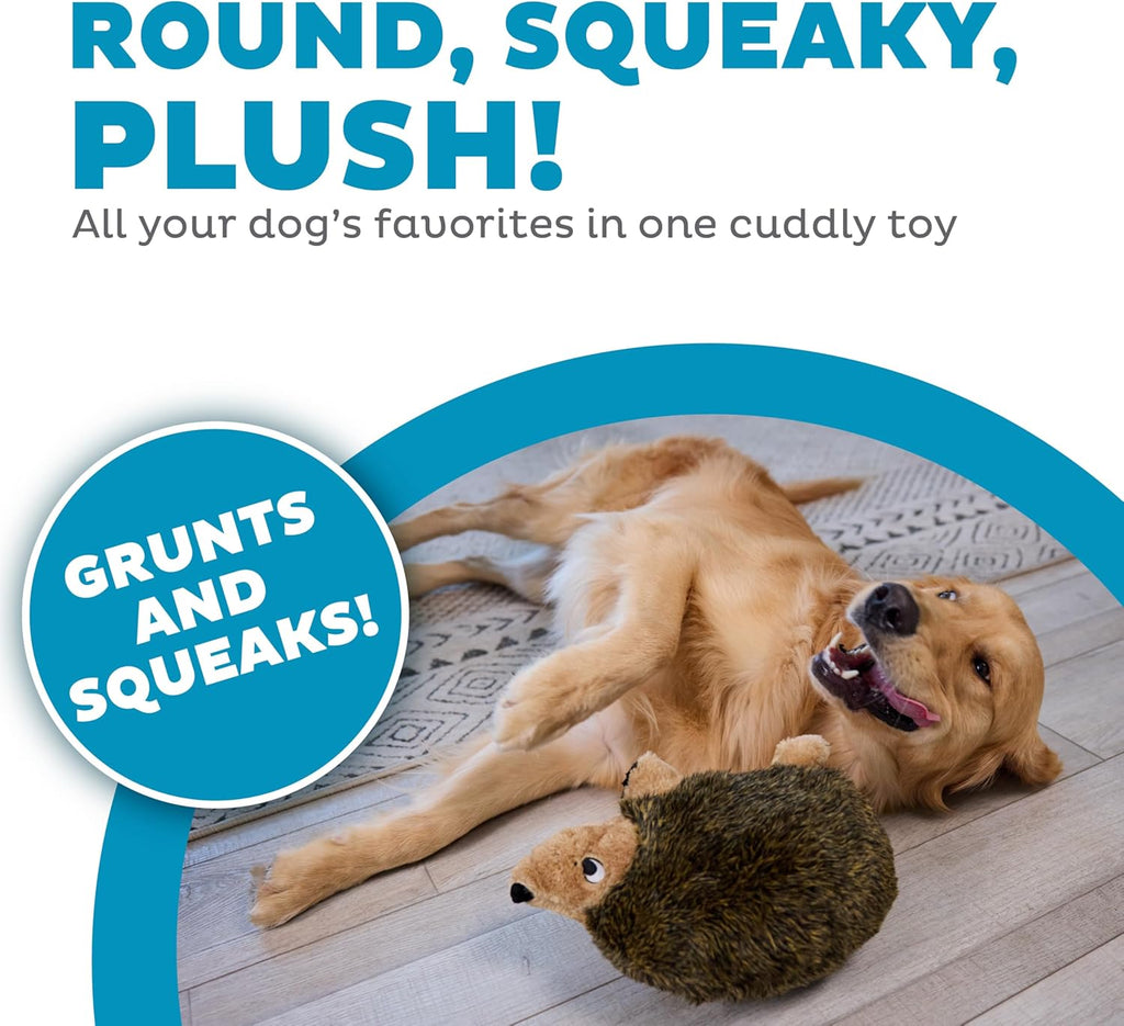 Outward Hound - Juguete de peluche Hedgehogz para perro, tamaño L