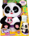 Little Live Pets Mi bebé panda parlante ChuChu, peluche de panda su...