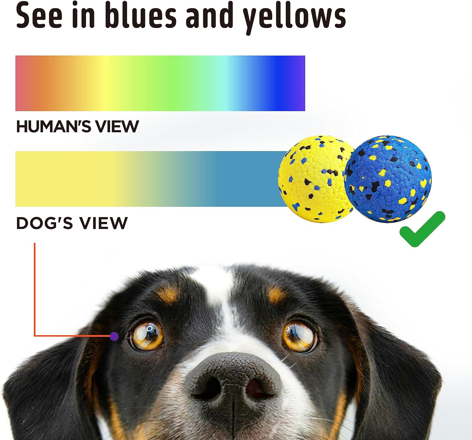 Kimee Pelotas de tenis para perros, juguetes para masticadores agre...