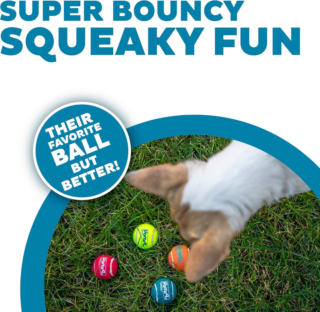 Outward Hound Squeaker Ballz - Juego de 4 pelotas de tenis para per...