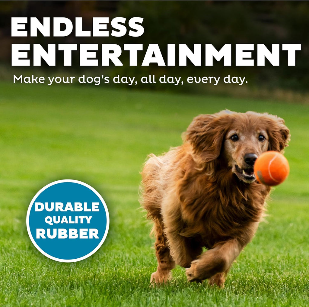 Outward Hound Squeaker Ballz Paquete de 4 Juguetes de Pelotas de Te...