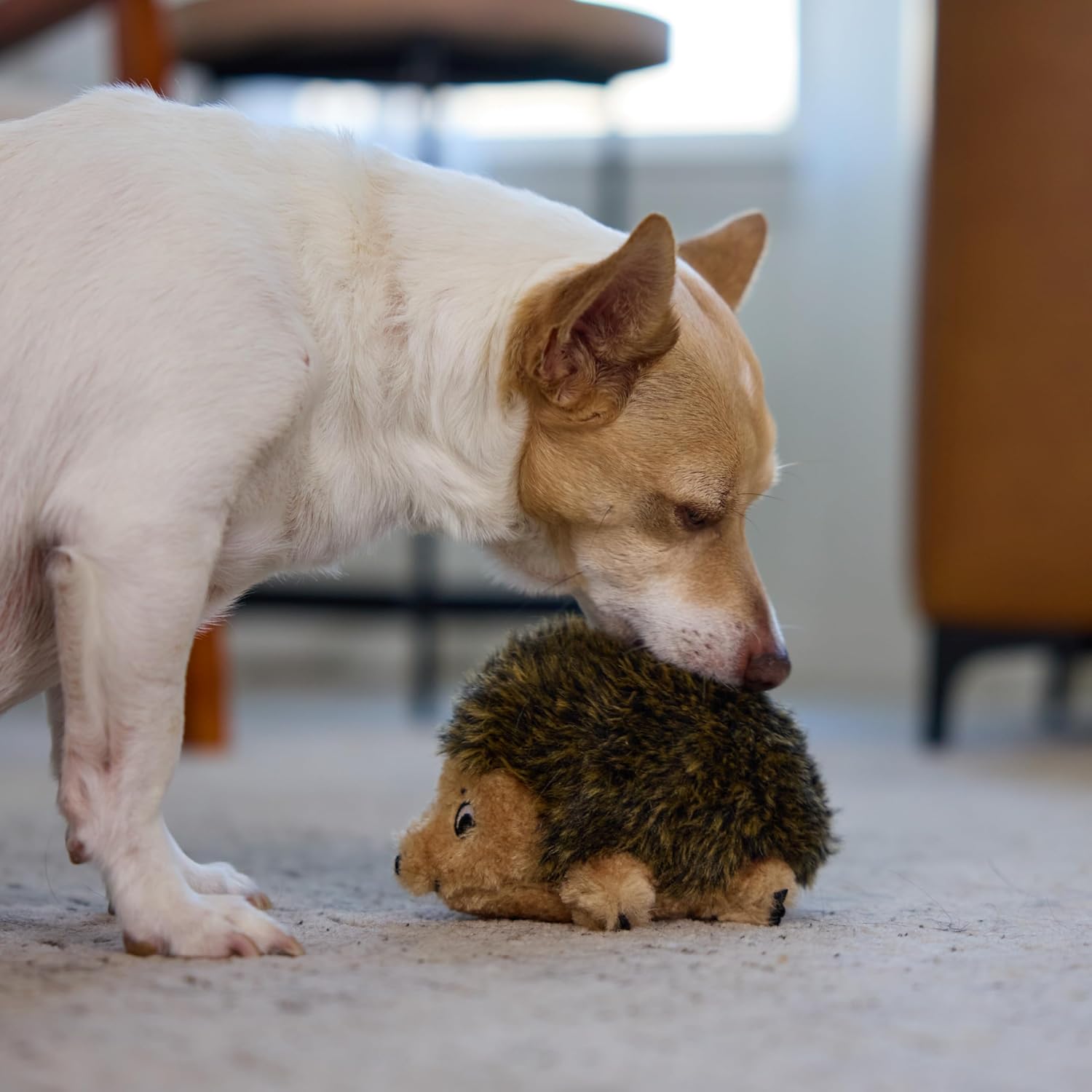 Outward Hound - Juguete de peluche Hedgehogz para perro, tamaño S