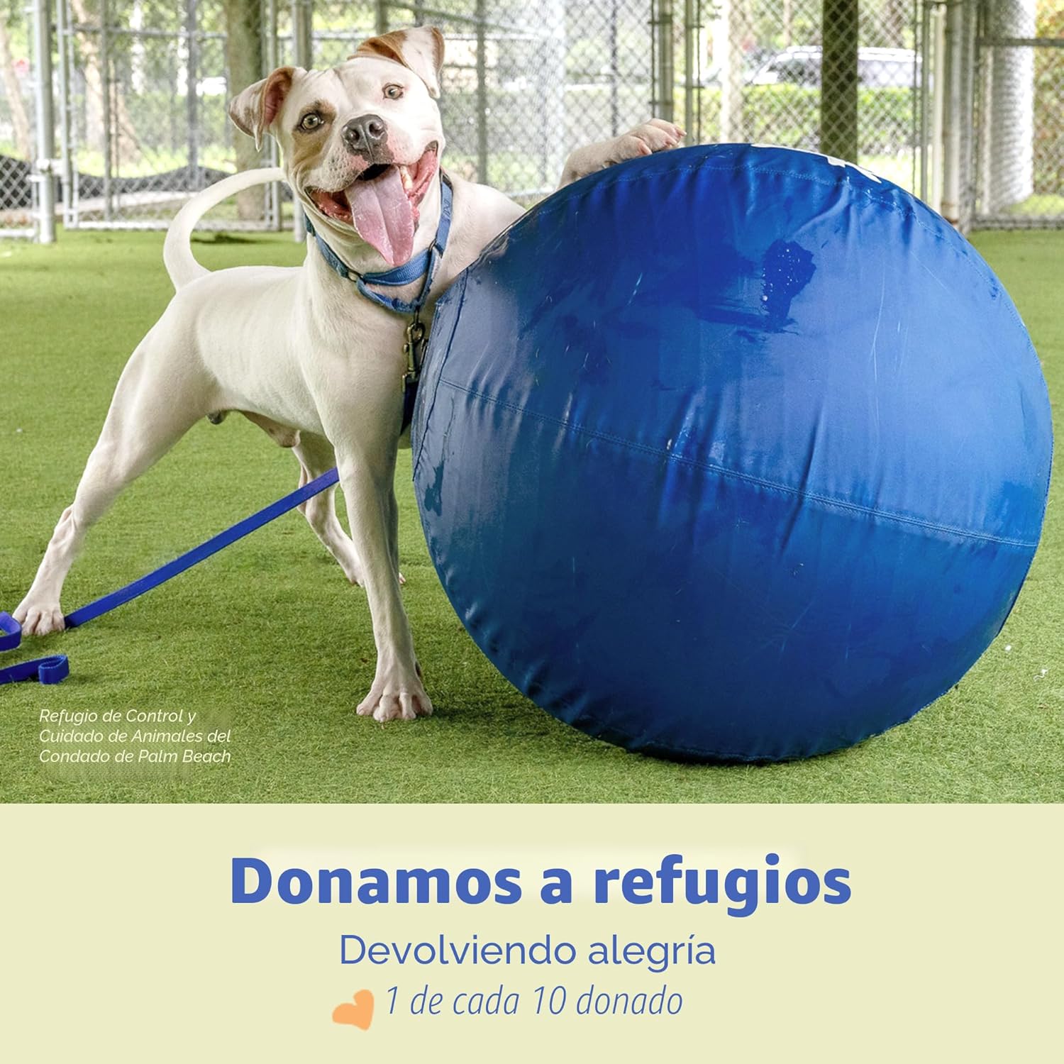 Race&amp;Herd Pelota original XXL de 25 pulgadas para perros grande...