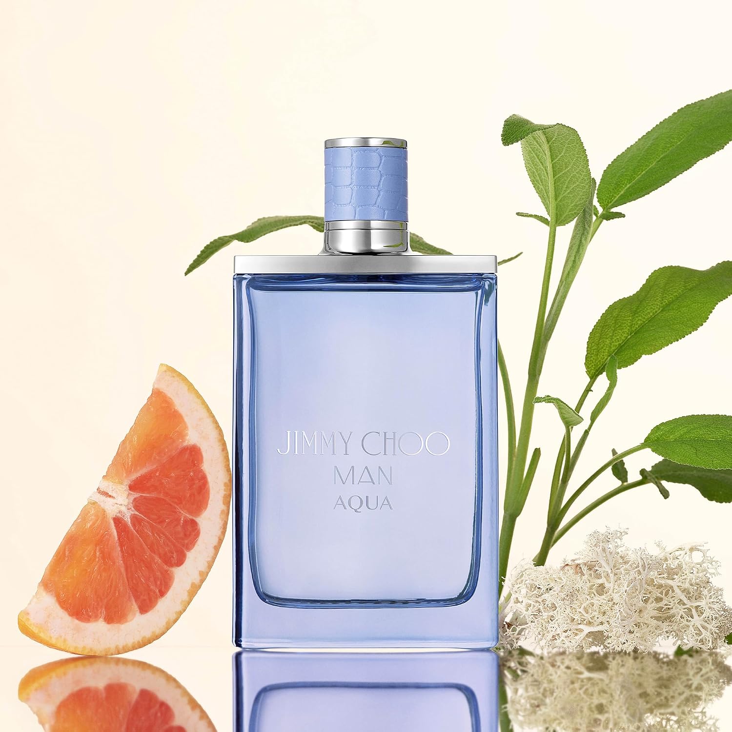 JIMMY CHOO - Perfume Aqua para Hombre - Fragancia Masculina - Fouge...