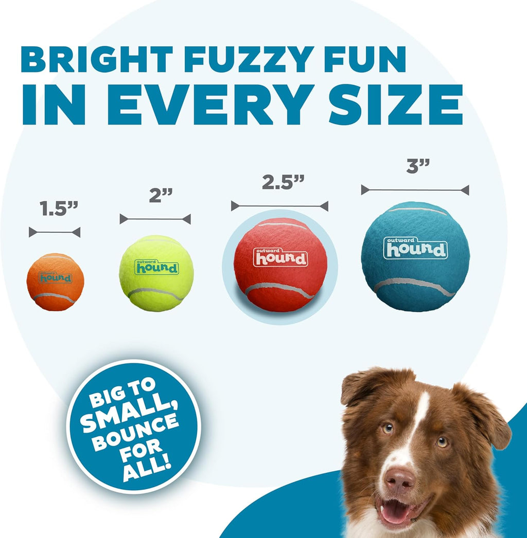 Outward Hound Squeaker Ballz - Juego de 4 pelotas de tenis para per...