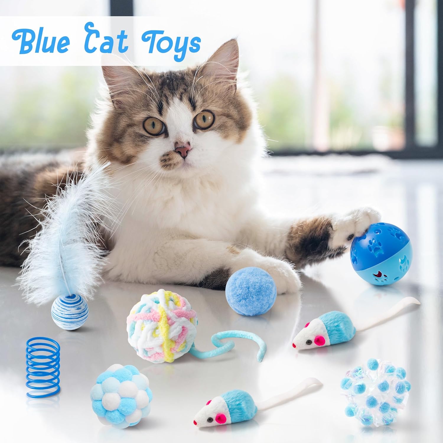MALLMALL6 Juego de 10 juguetes para gatos que incluye resortes para...