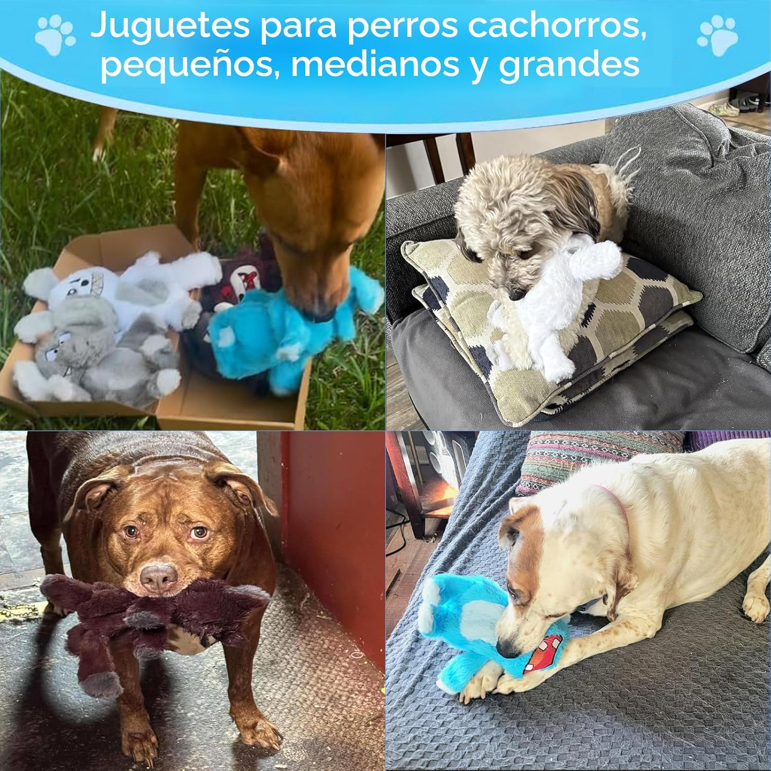 Bzonsmart Paquete de 5 Juguetes Chirriantes para Perros. Juguetes d...