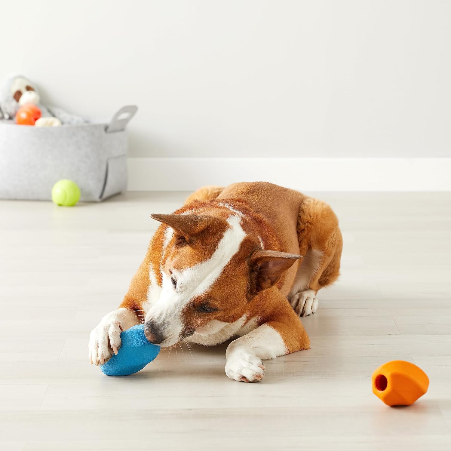 Amazon Basics Juguete Interactivo para Perros Dispensador de Golosi...