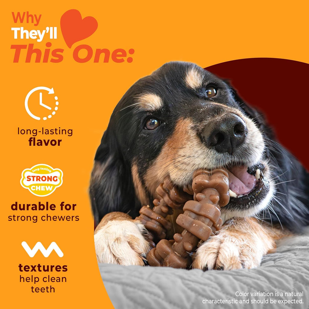 Nylabone Juguete masticable fuerte con anillo texturizado para perr...