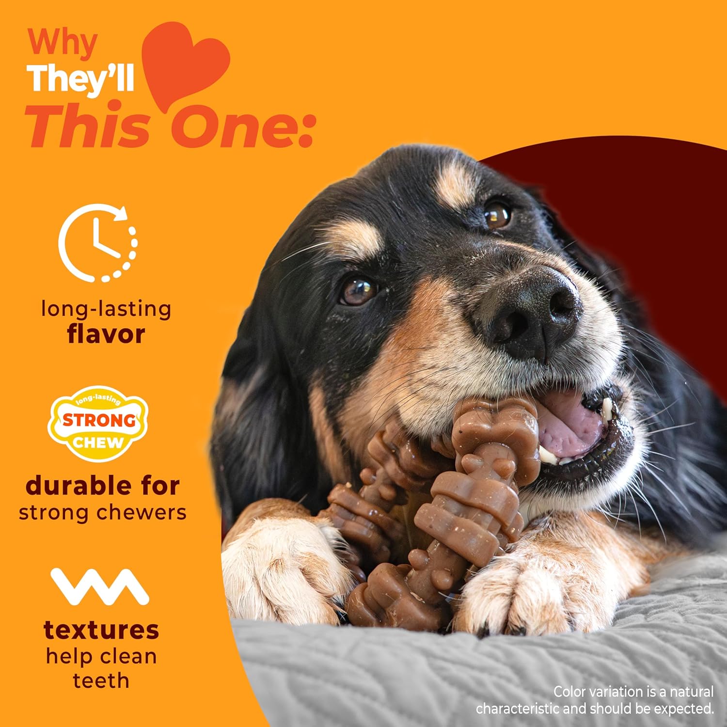 Nylabone Juguete masticable fuerte con anillo texturizado para perr...