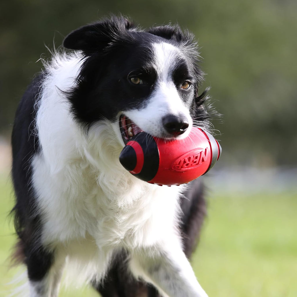 Nerf Dog - Juguete de fútbol de goma para perros con silbato intera...