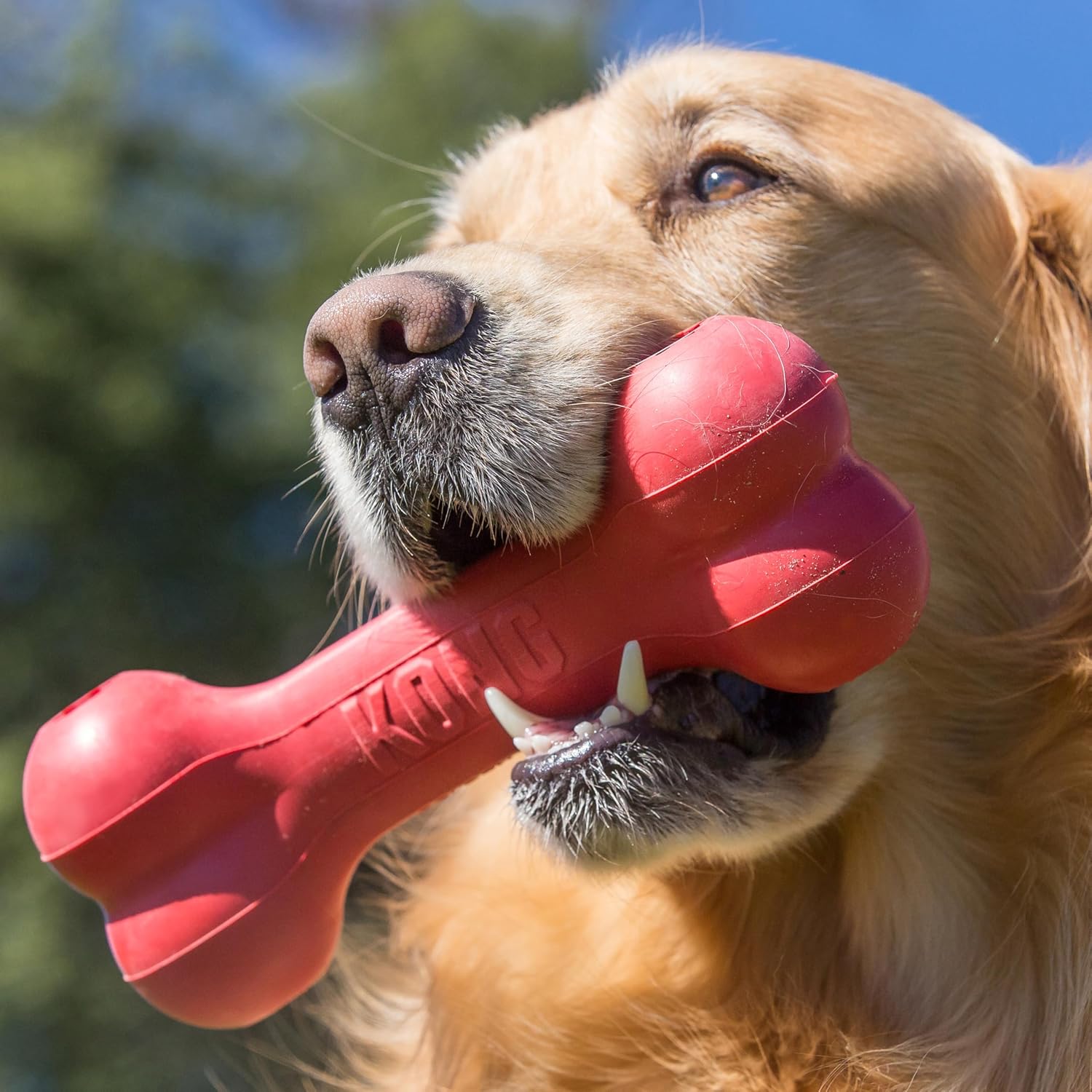 KONG Goodie - Hueso para perro de juguete