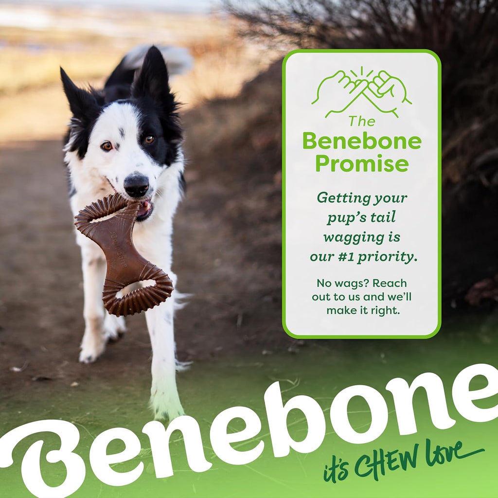 Benebone Juguete para morder dental duradero para perros masticador...