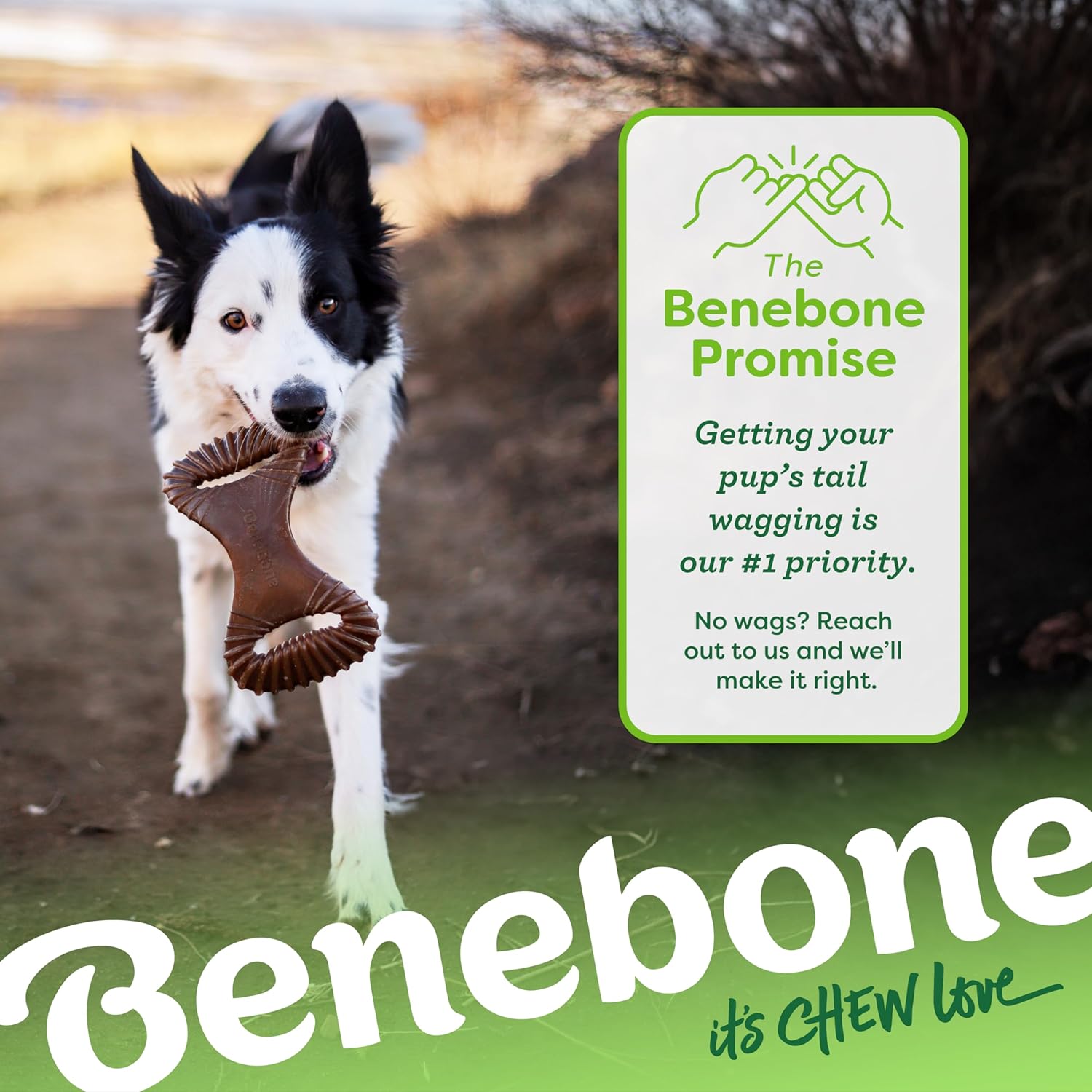 Benebone Juguete para morder dental duradero para perros masticador...