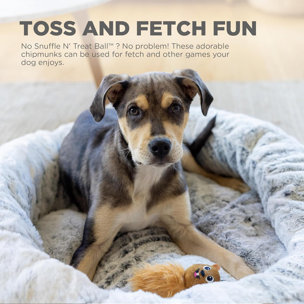 Outward Hound Nina Ottosson - Juguetes de mapaches de peluche de re...