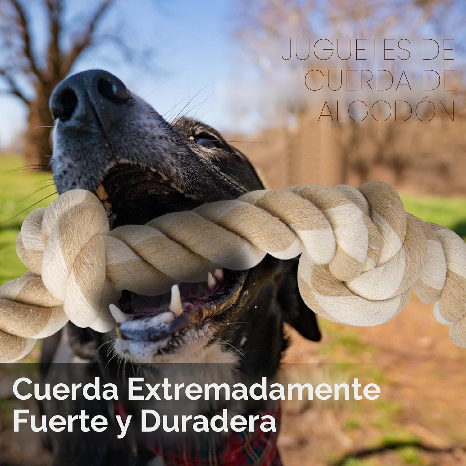 Fida Juguetes de cuerda para perros para masticadores agresivos gra...