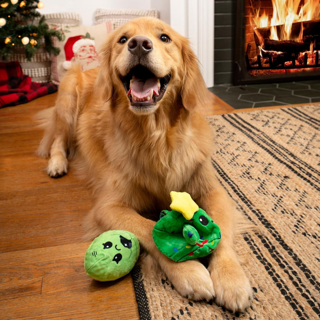 Barkbox Consuela El Cactus de Navidad para Perros \u2013 Juguete de...
