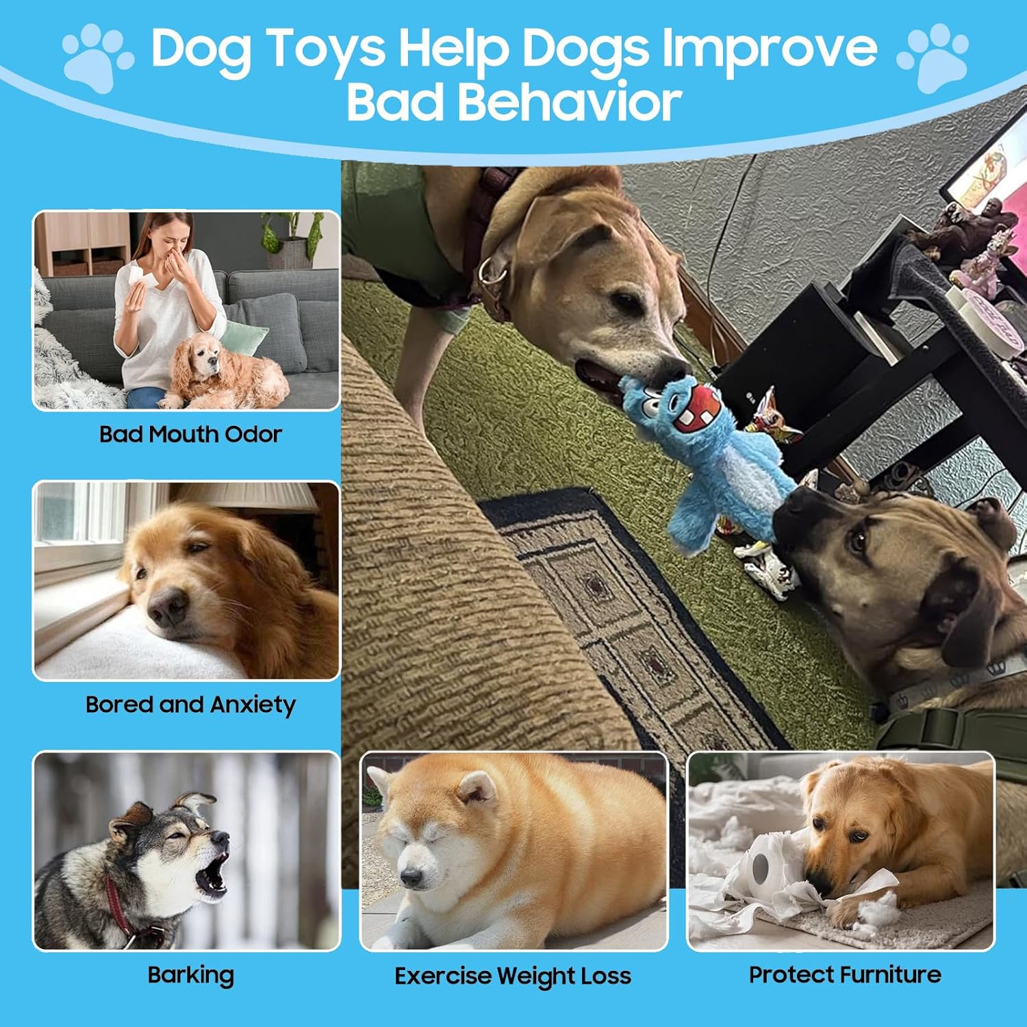 Bzonsmart Paquete de 5 Juguetes Chirriantes para Perros. Juguetes d...