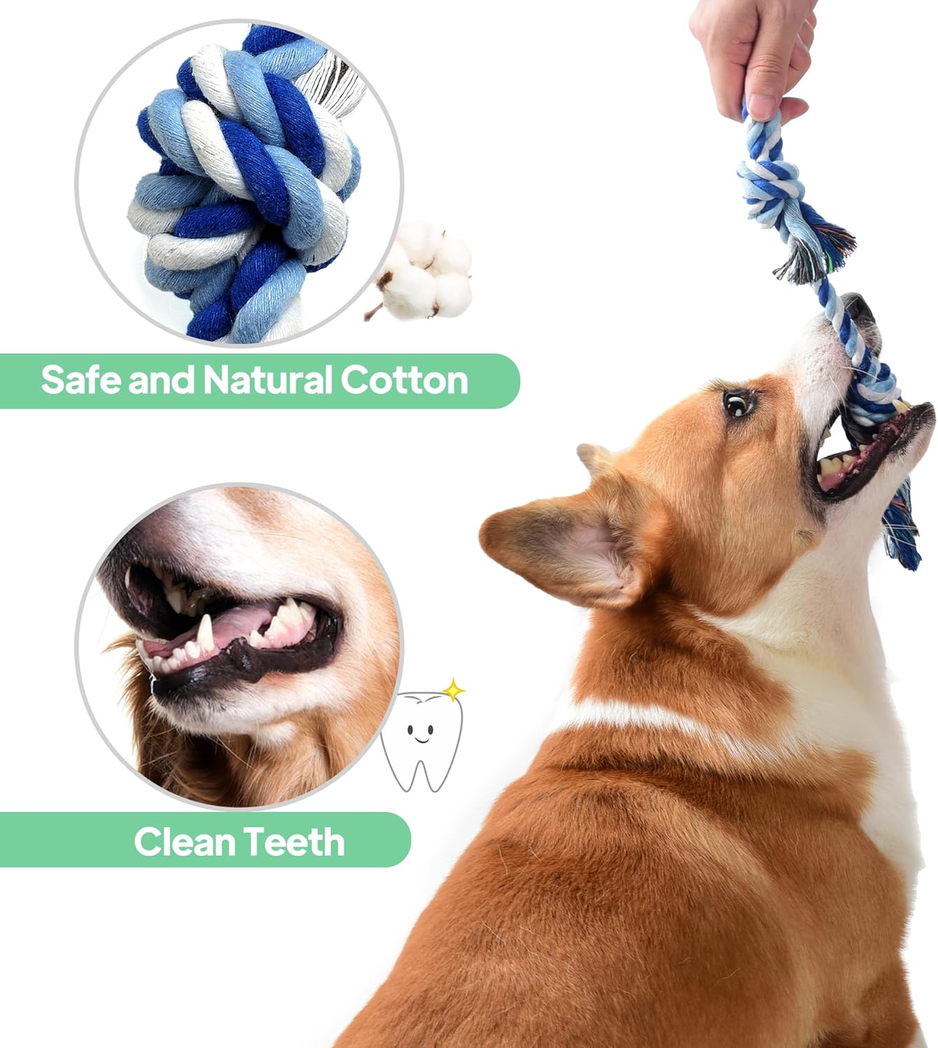 TwoEar Paquete de 4 juguetes de cuerda para perros, juguetes de den...