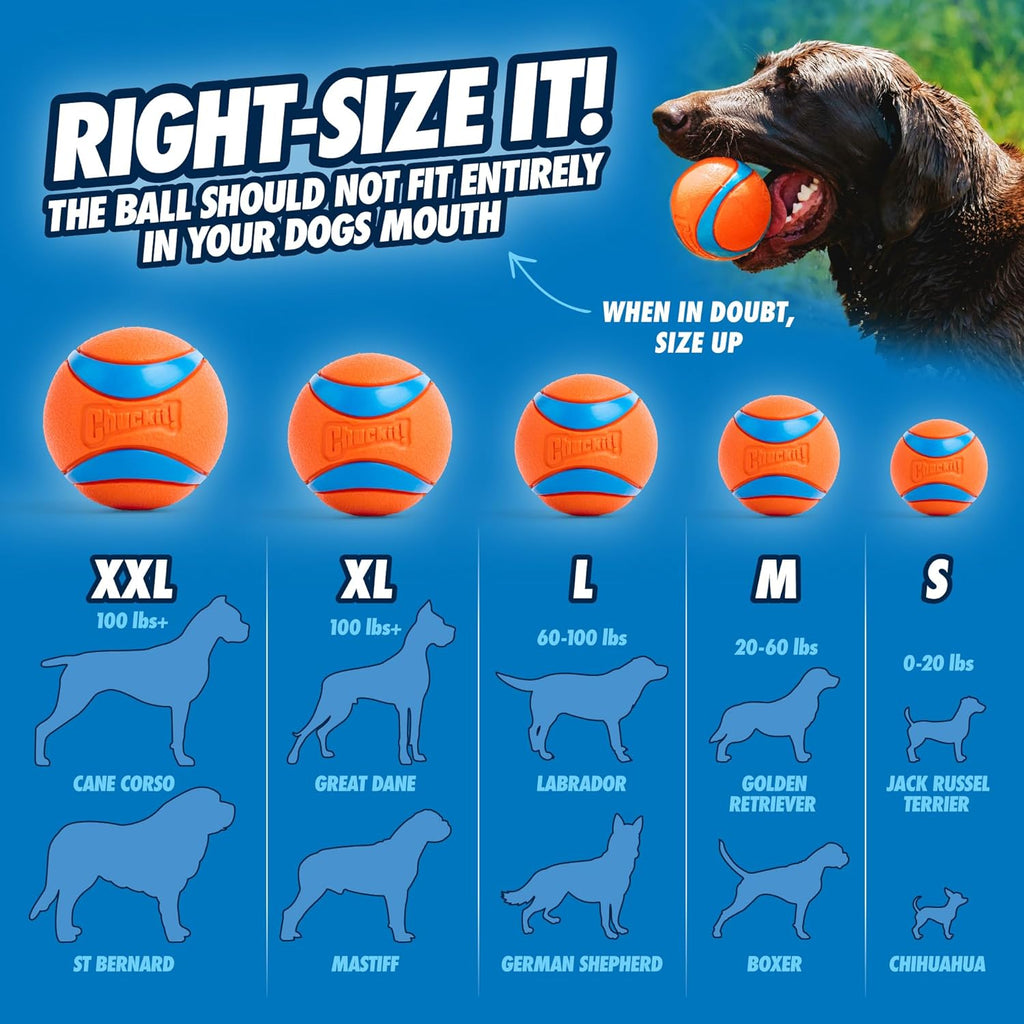 Chuckit! Lanzador de Bolas para Perros 12M Sport con Mango de 12...