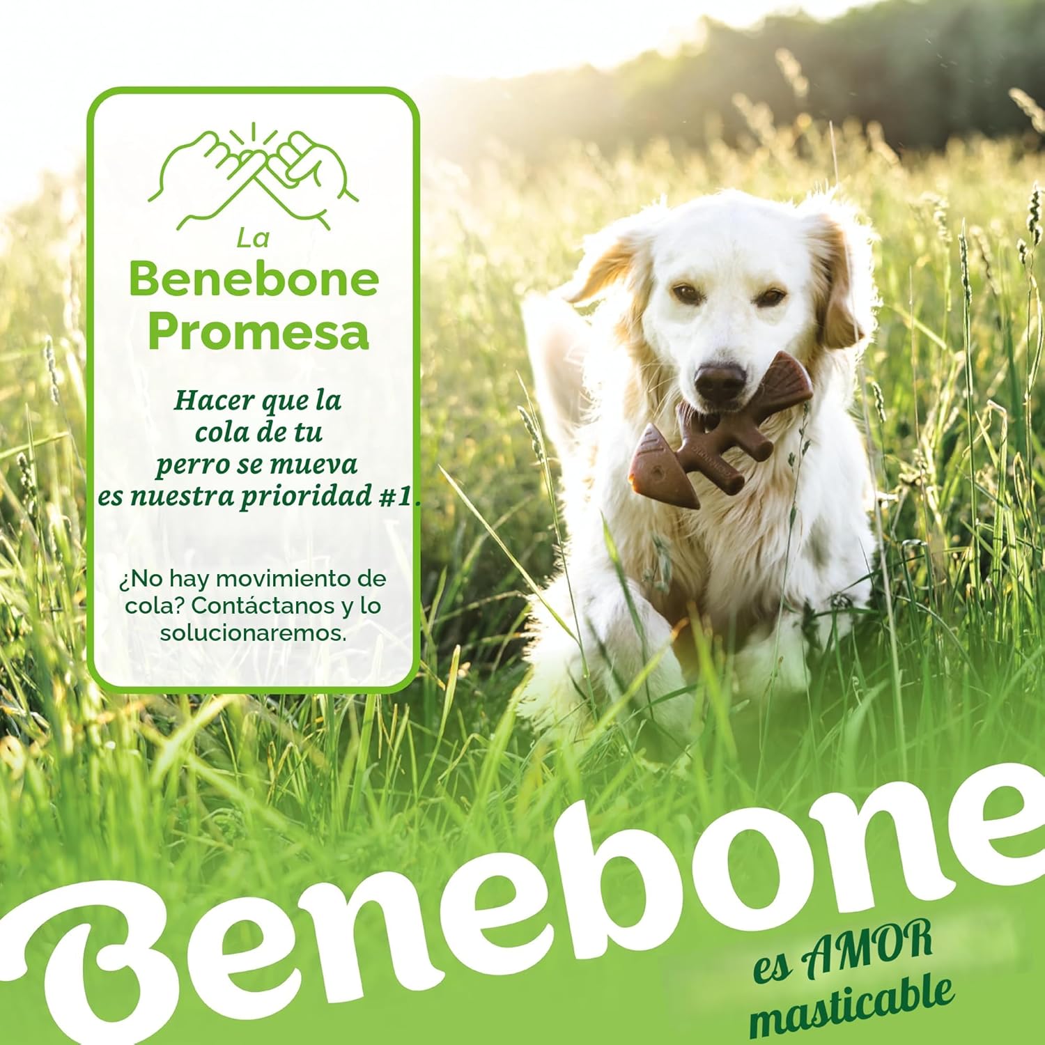 Benebone - Paquete de 4 juguetes masticables grandes para perros pa...