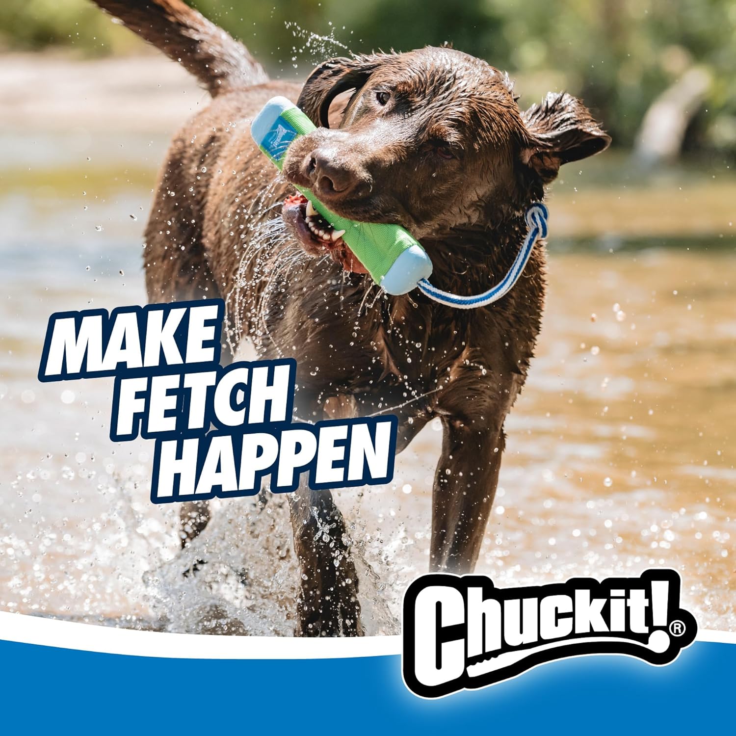 Chuckit! Juguete Palo Parachoques Anfibio de Buscar para Perros \u2...