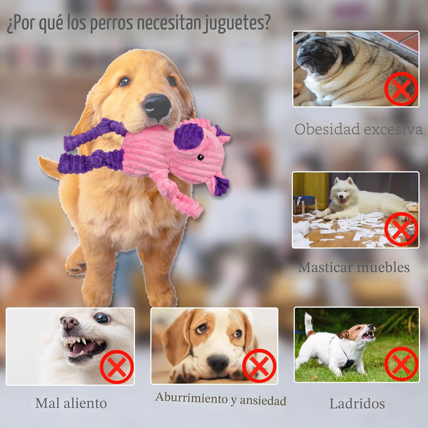 LECHONG Paquete de 5 Juguetes Resistentes para Perros Rellenos Chir...