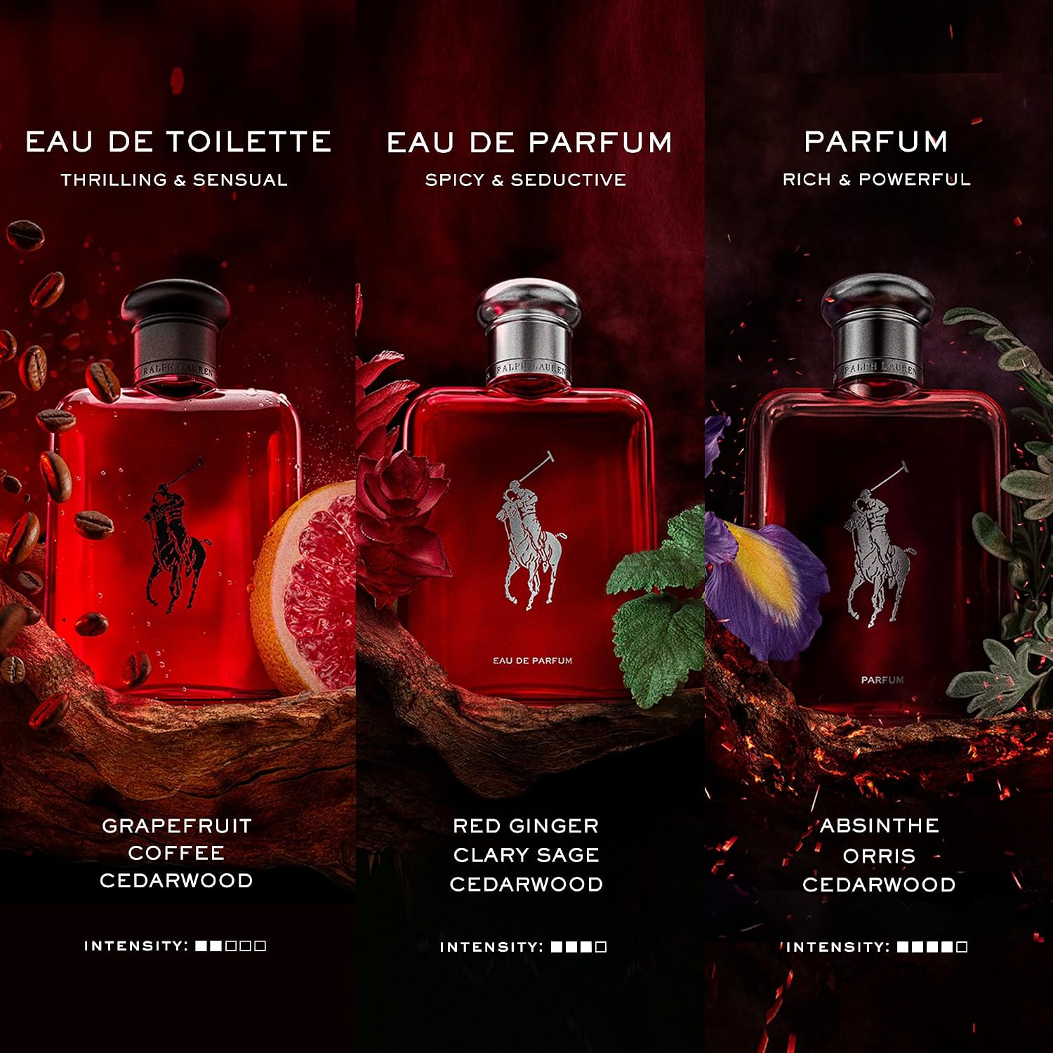 FRAGANCIAS RALPH LAUREN - Polo Red - Eau de Toilette - Colonia para...