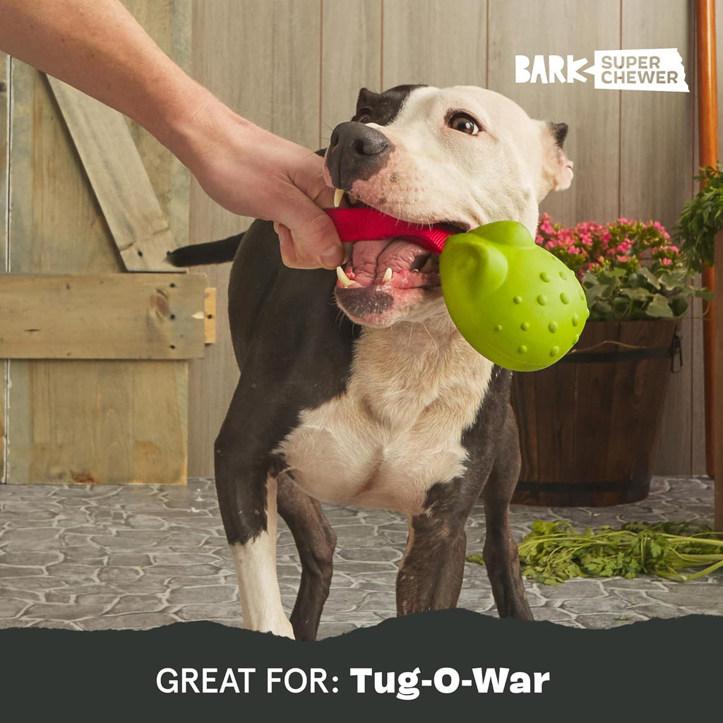 Barkbox Juguete para perros remolcados atados para masticadores dur...