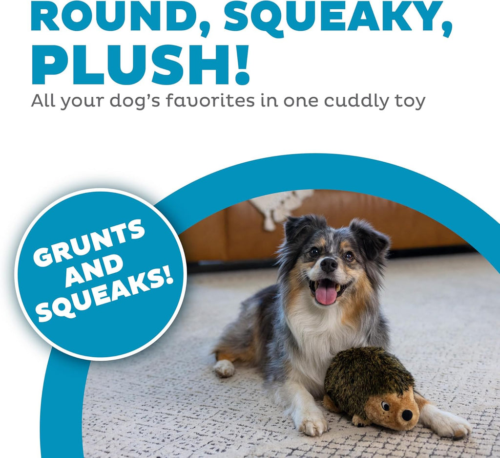 Outward Hound, juguete de peluche Hedgehogz para perro, tamaño mediano