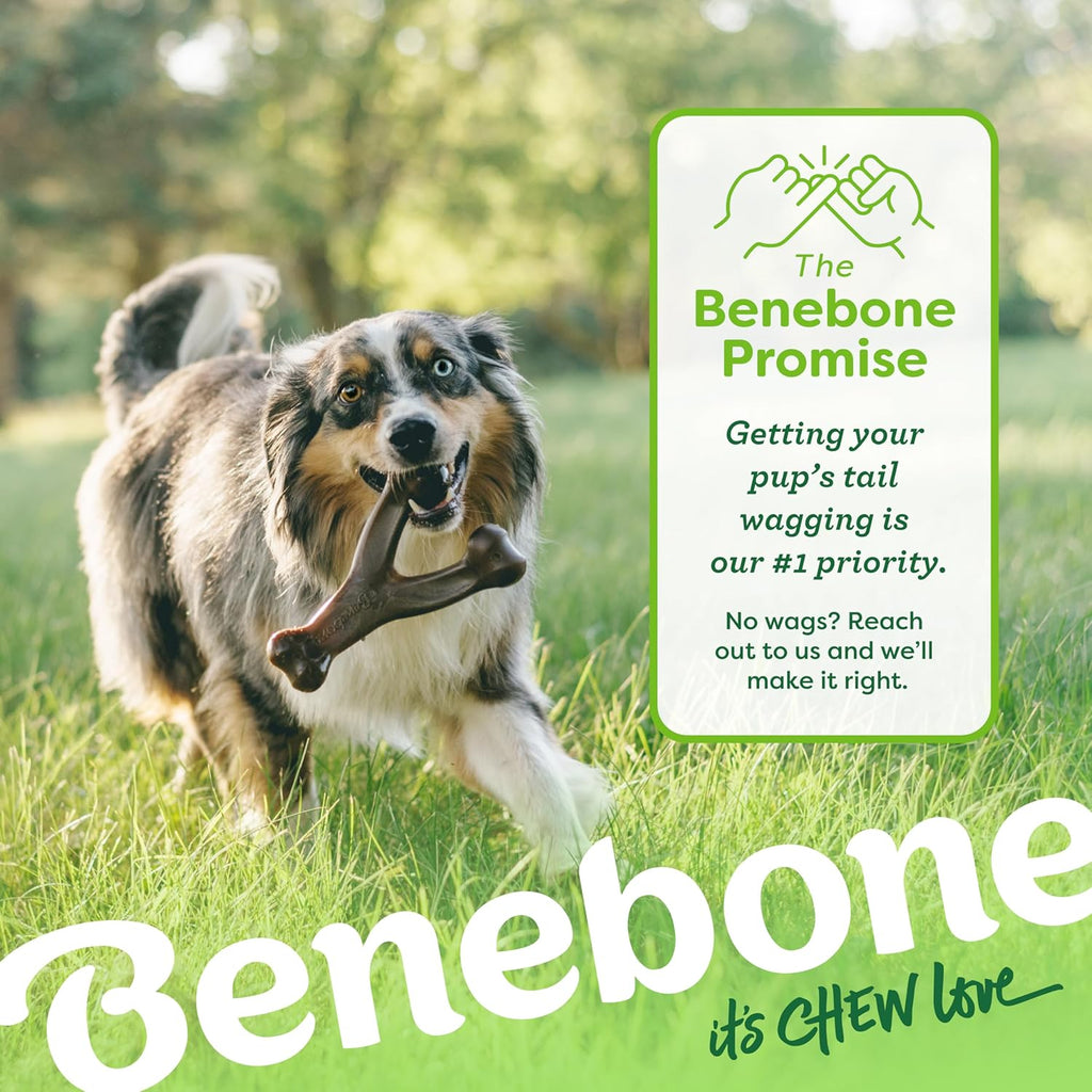 Benebone Wishbone - Juguete masticable duradero para perros mastica...